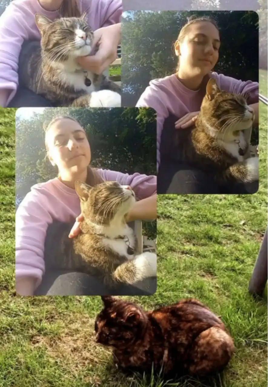 image-7