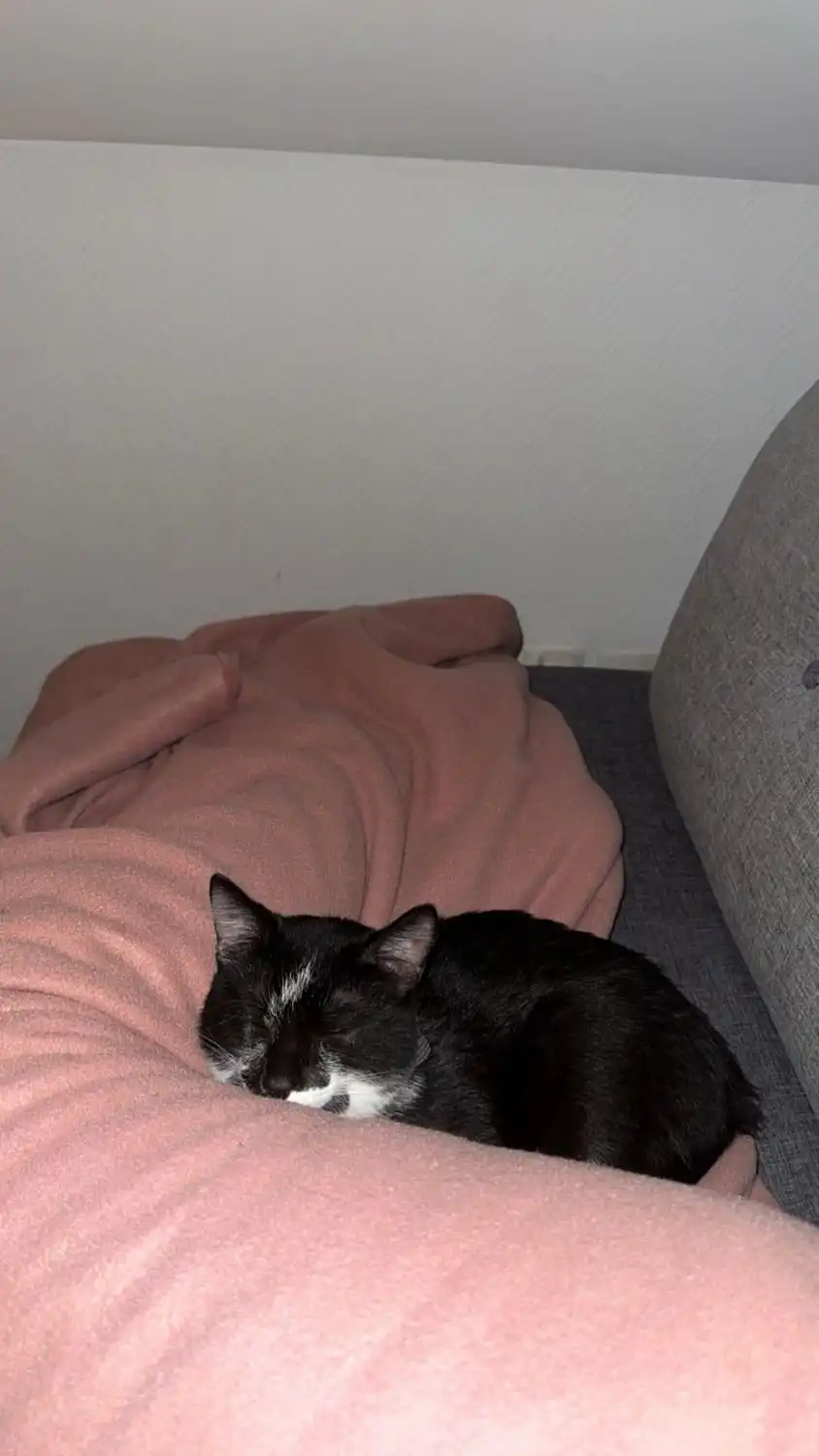 image-6