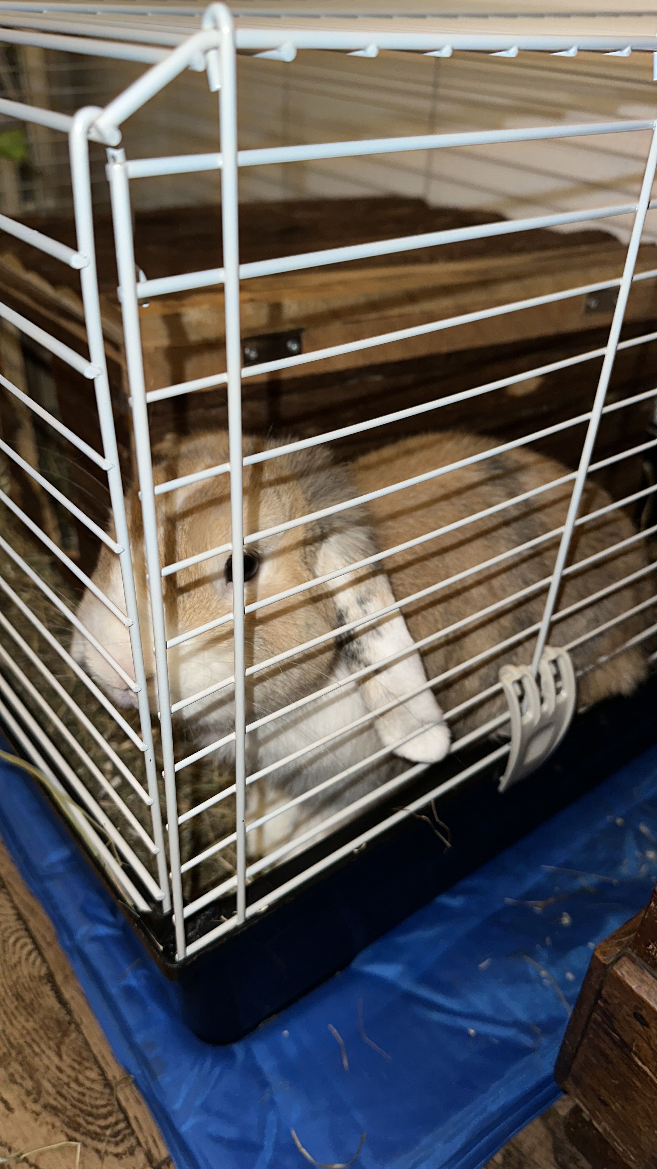 image-15