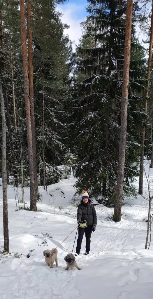 image-7