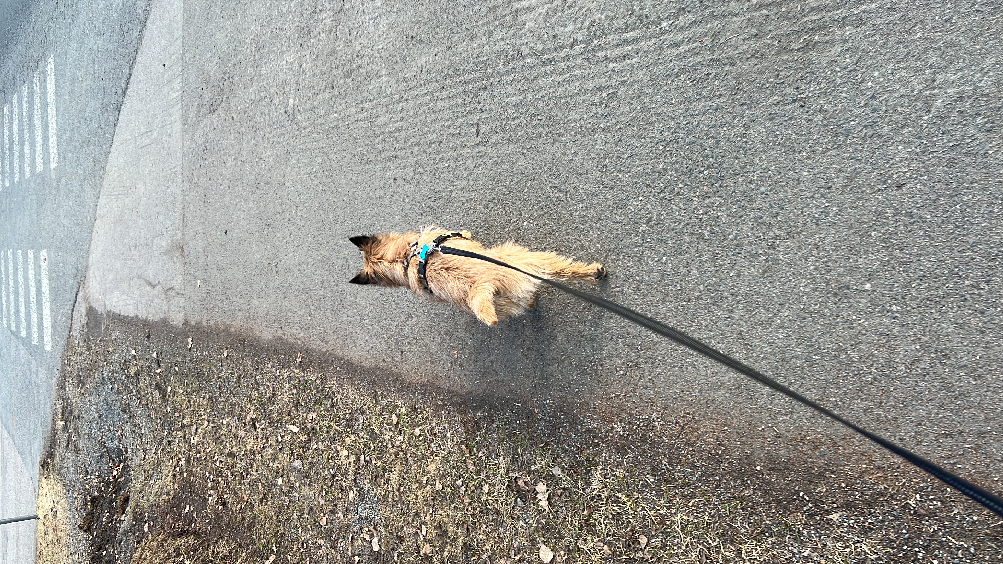 image-8