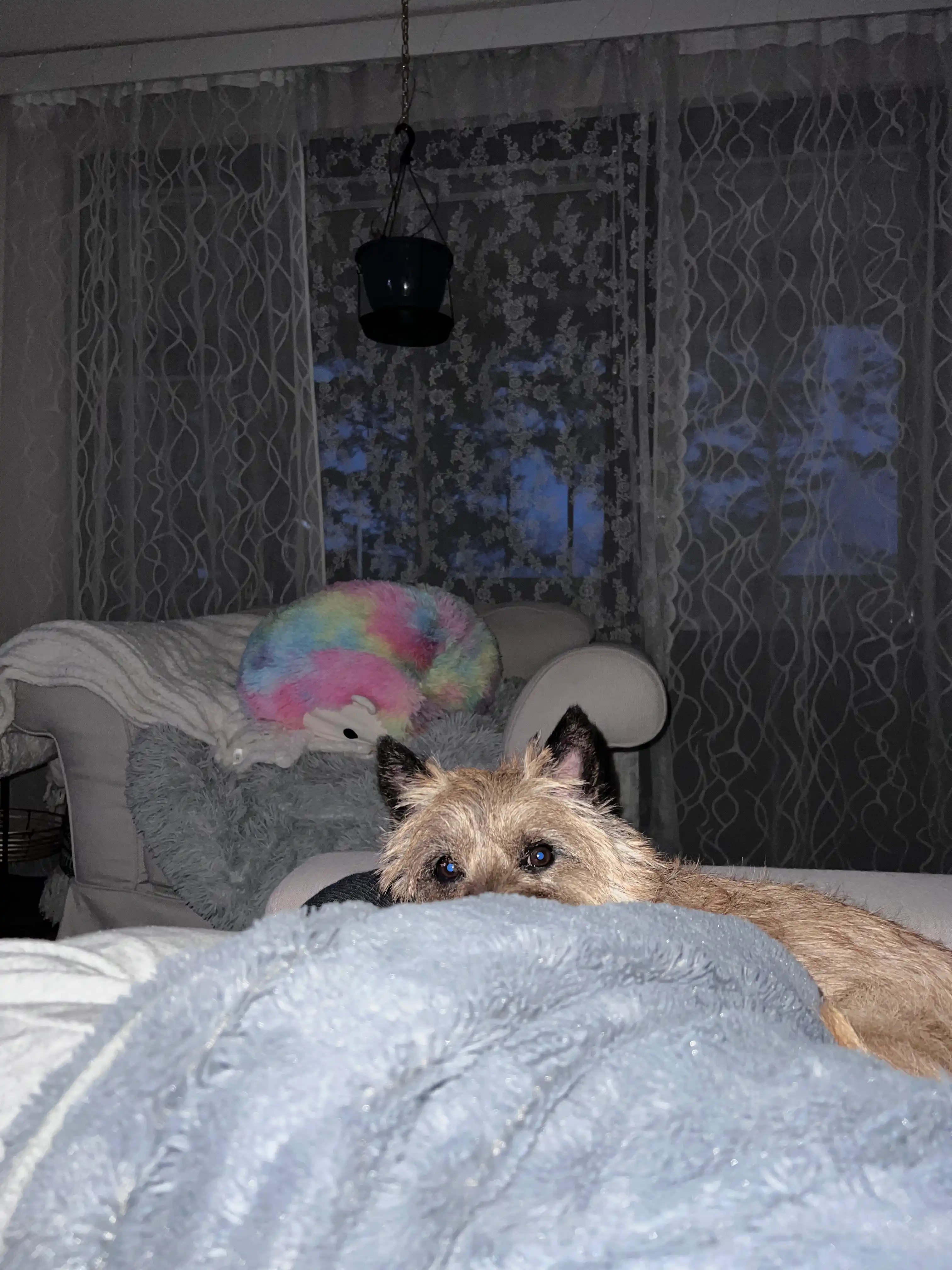 image-11
