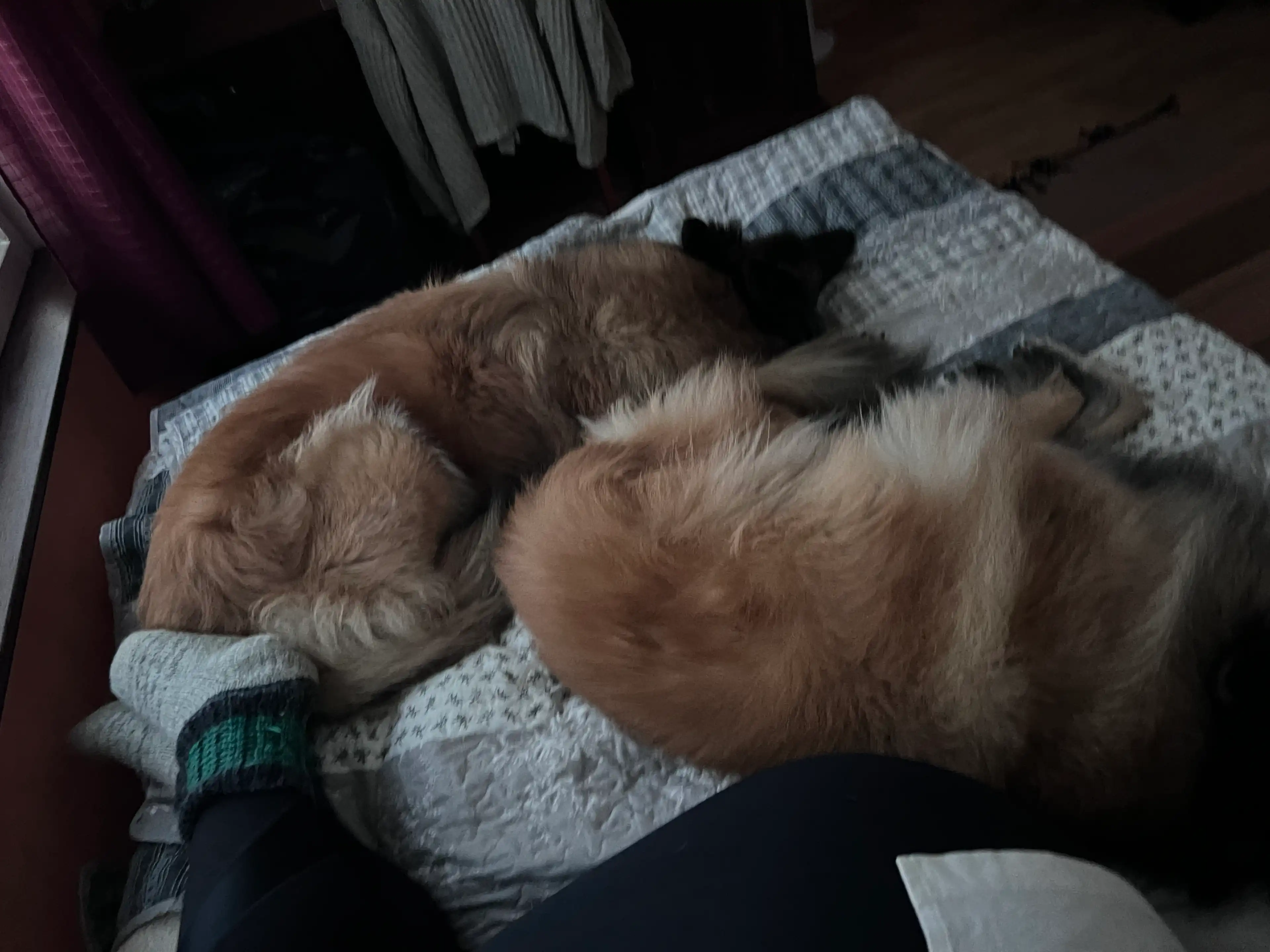 image-5