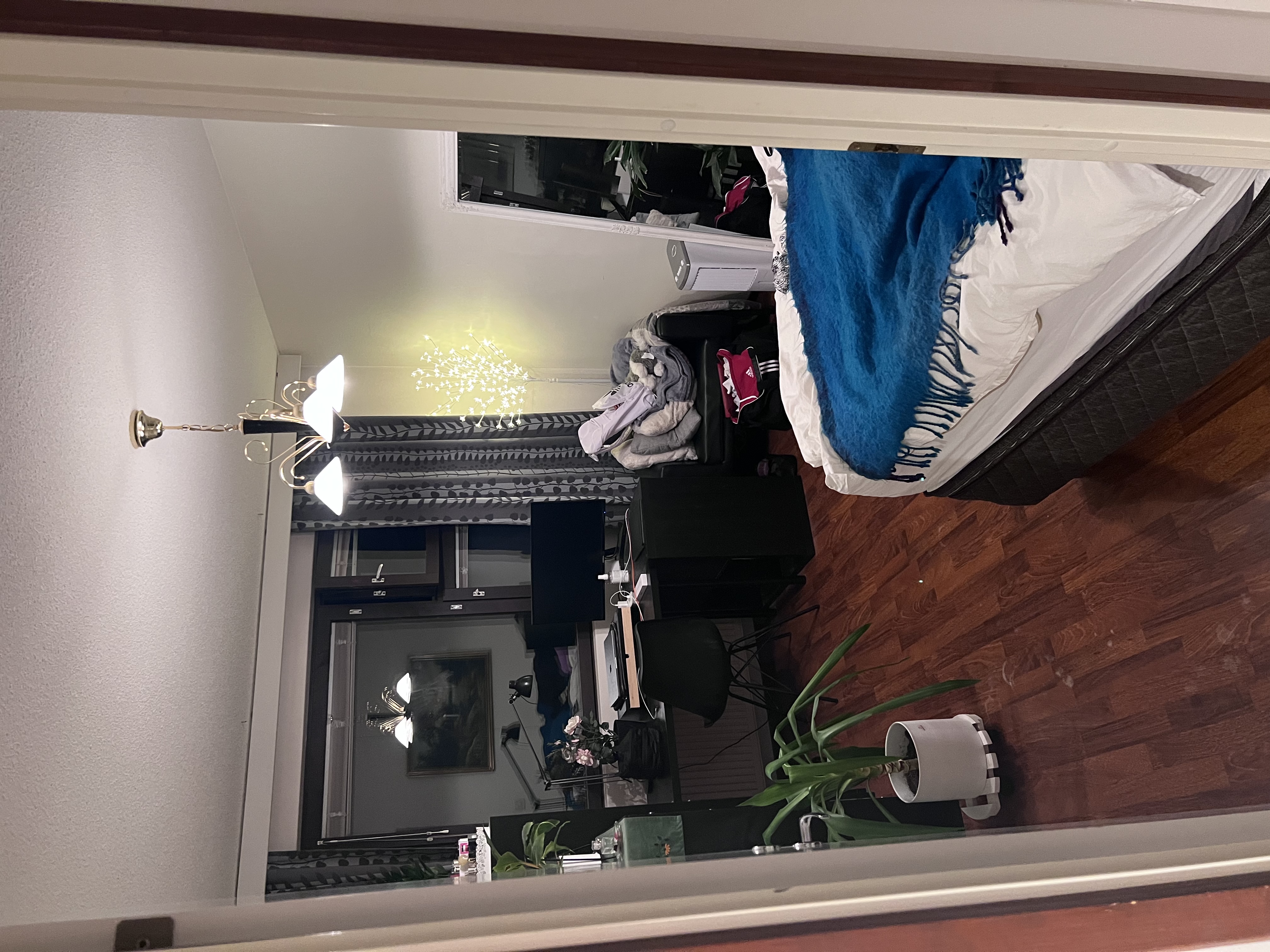image-19