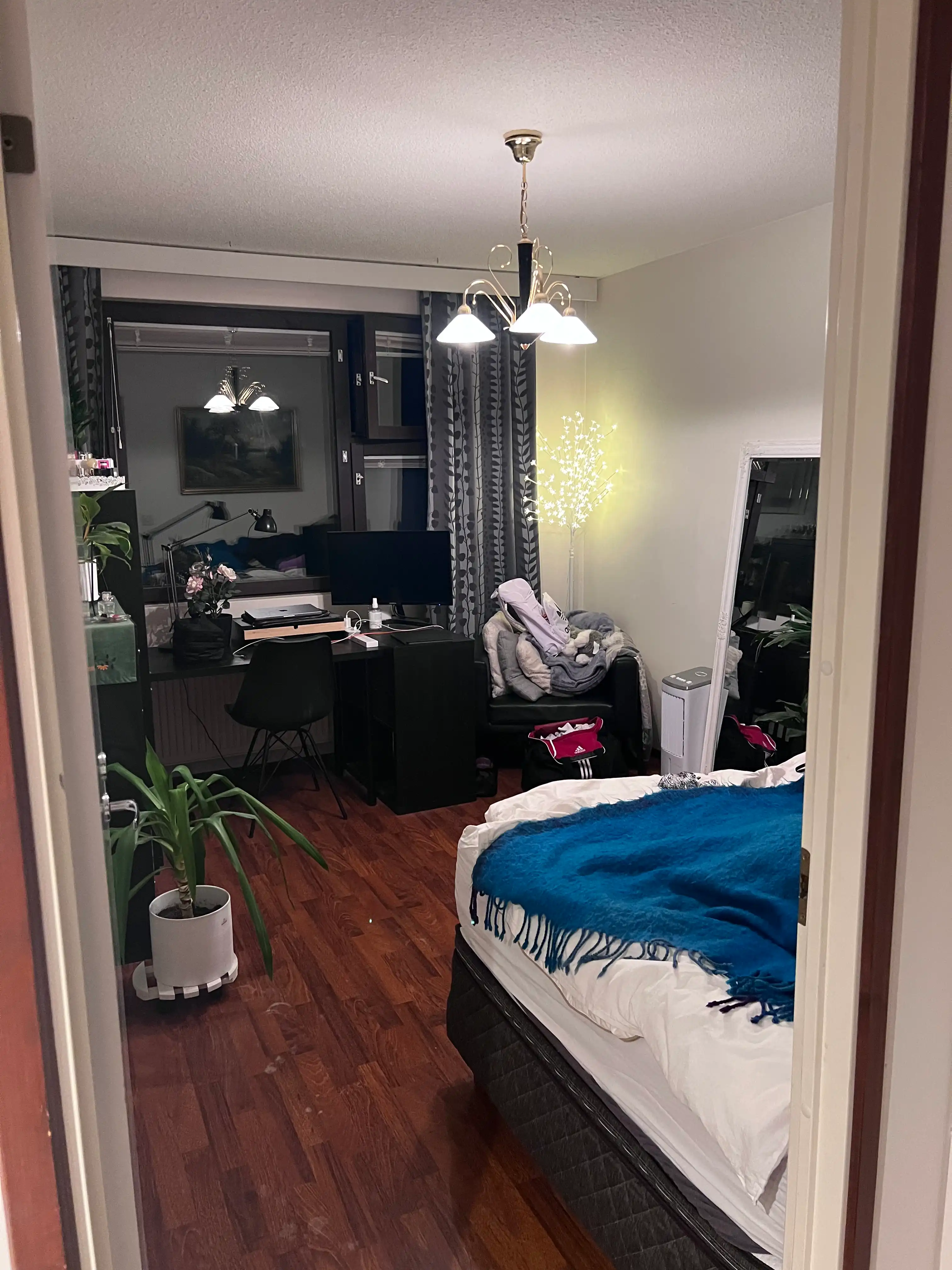 image-19
