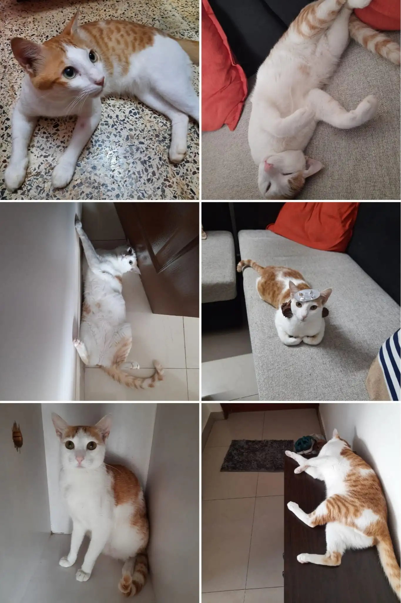image-17