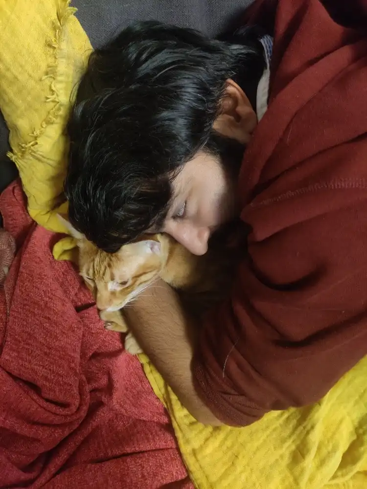 image-6