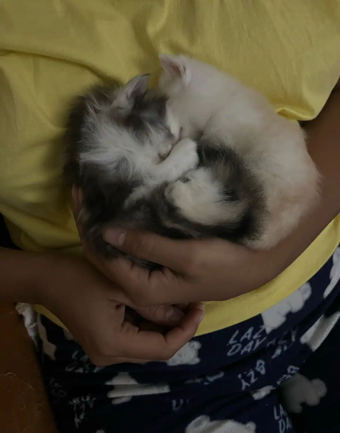 image-8