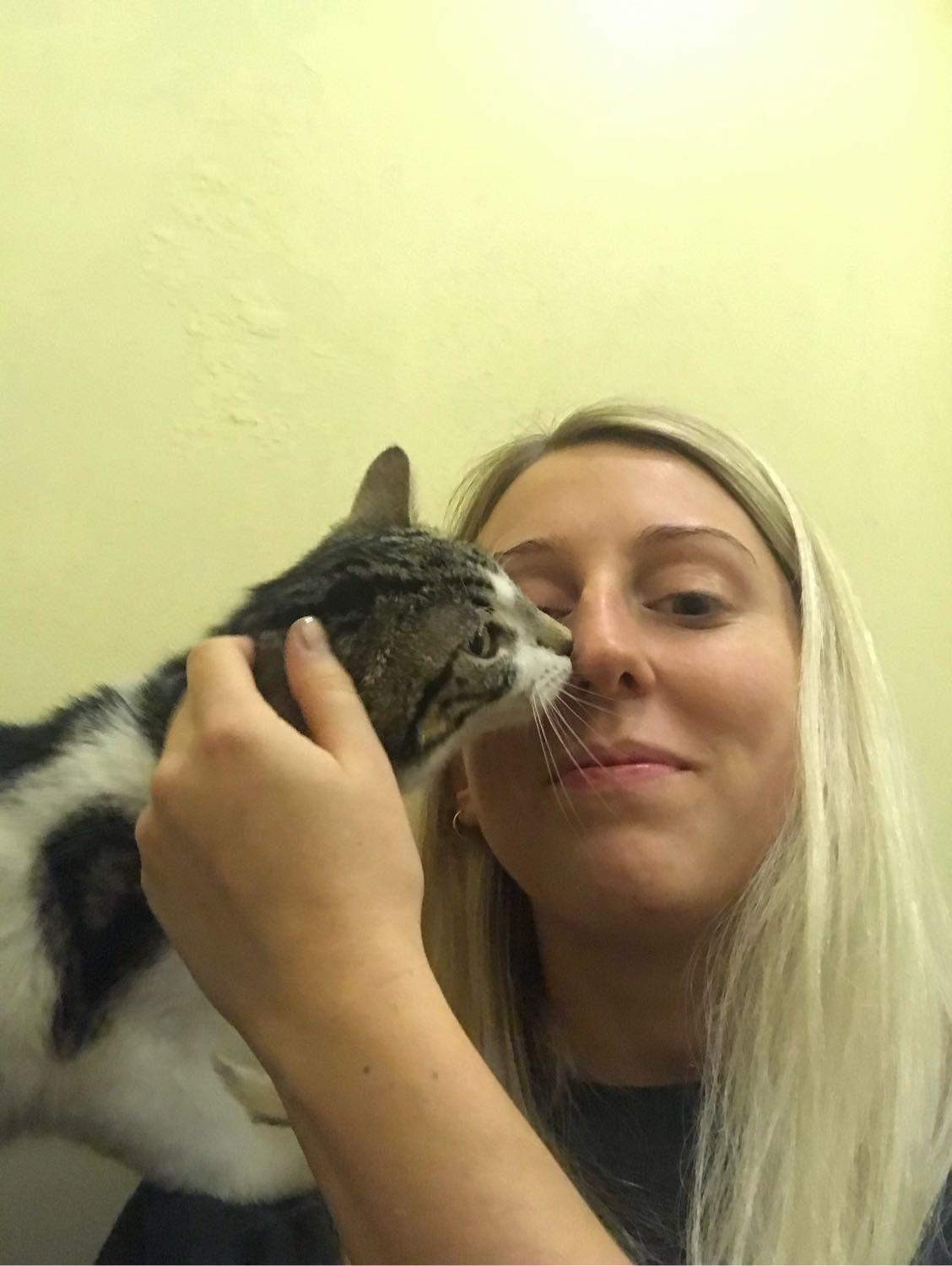 image-8