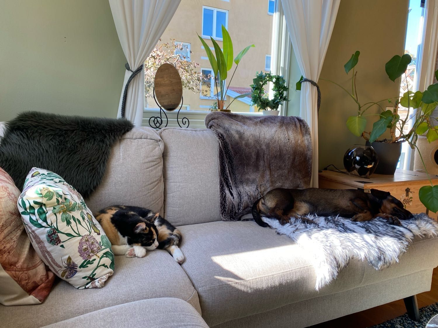 image-10
