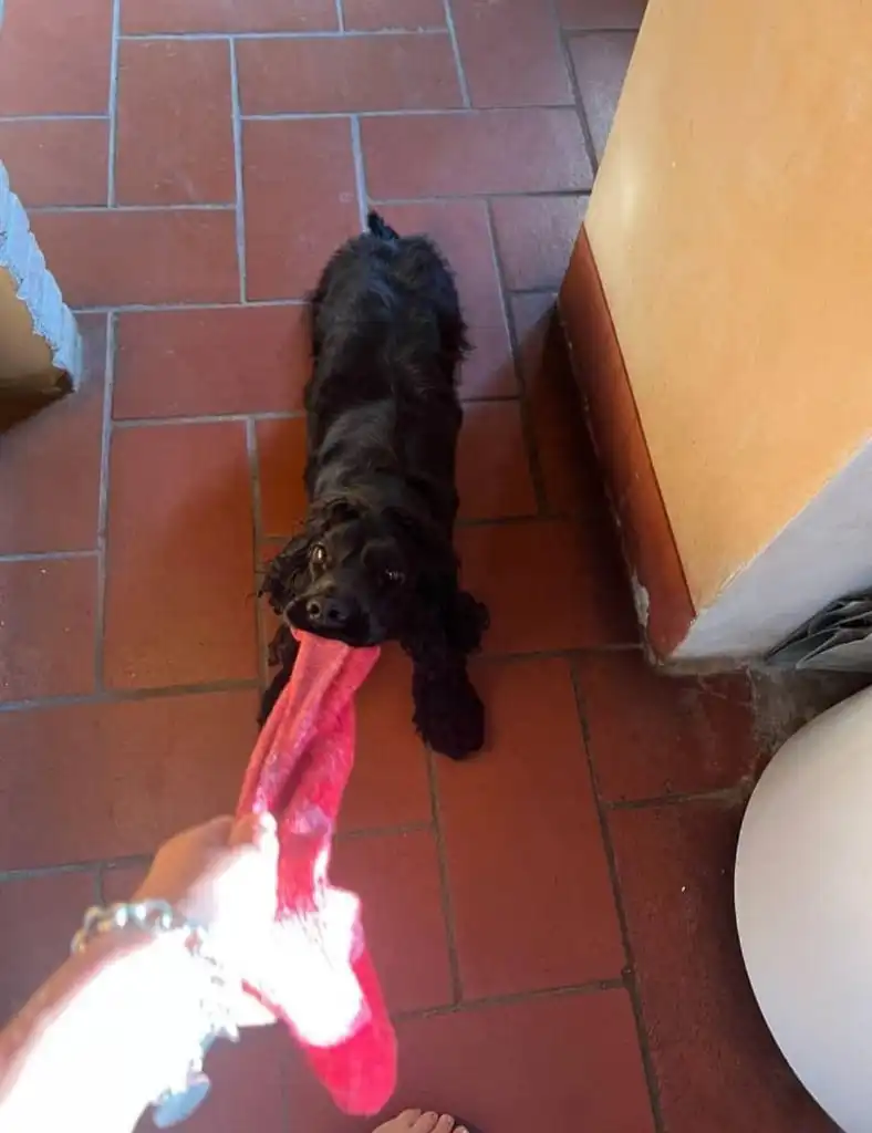 image-7