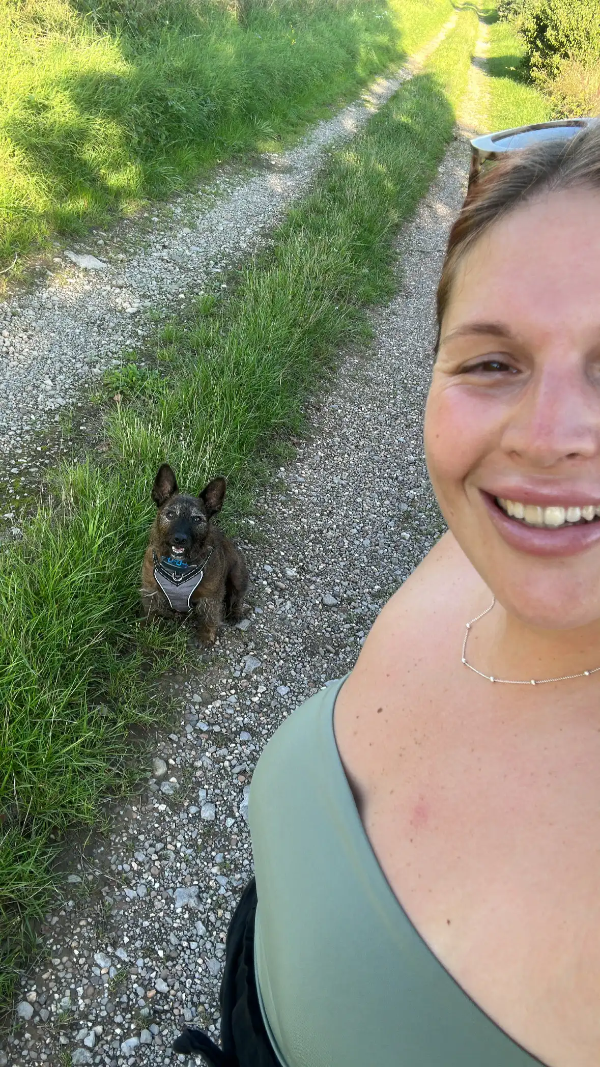 image-12