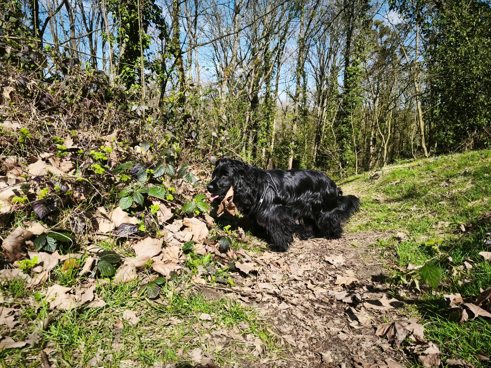 image-8