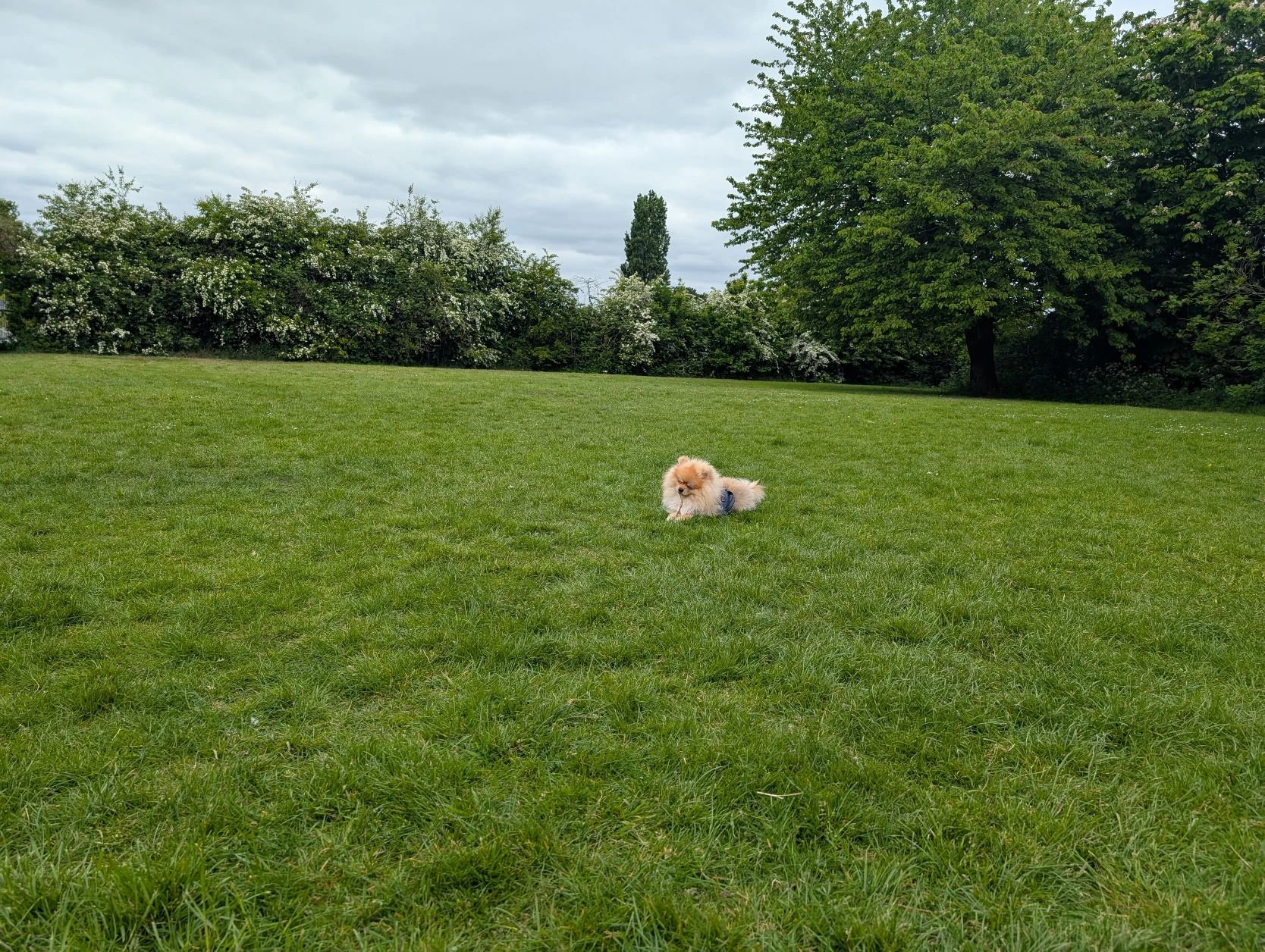 image-13