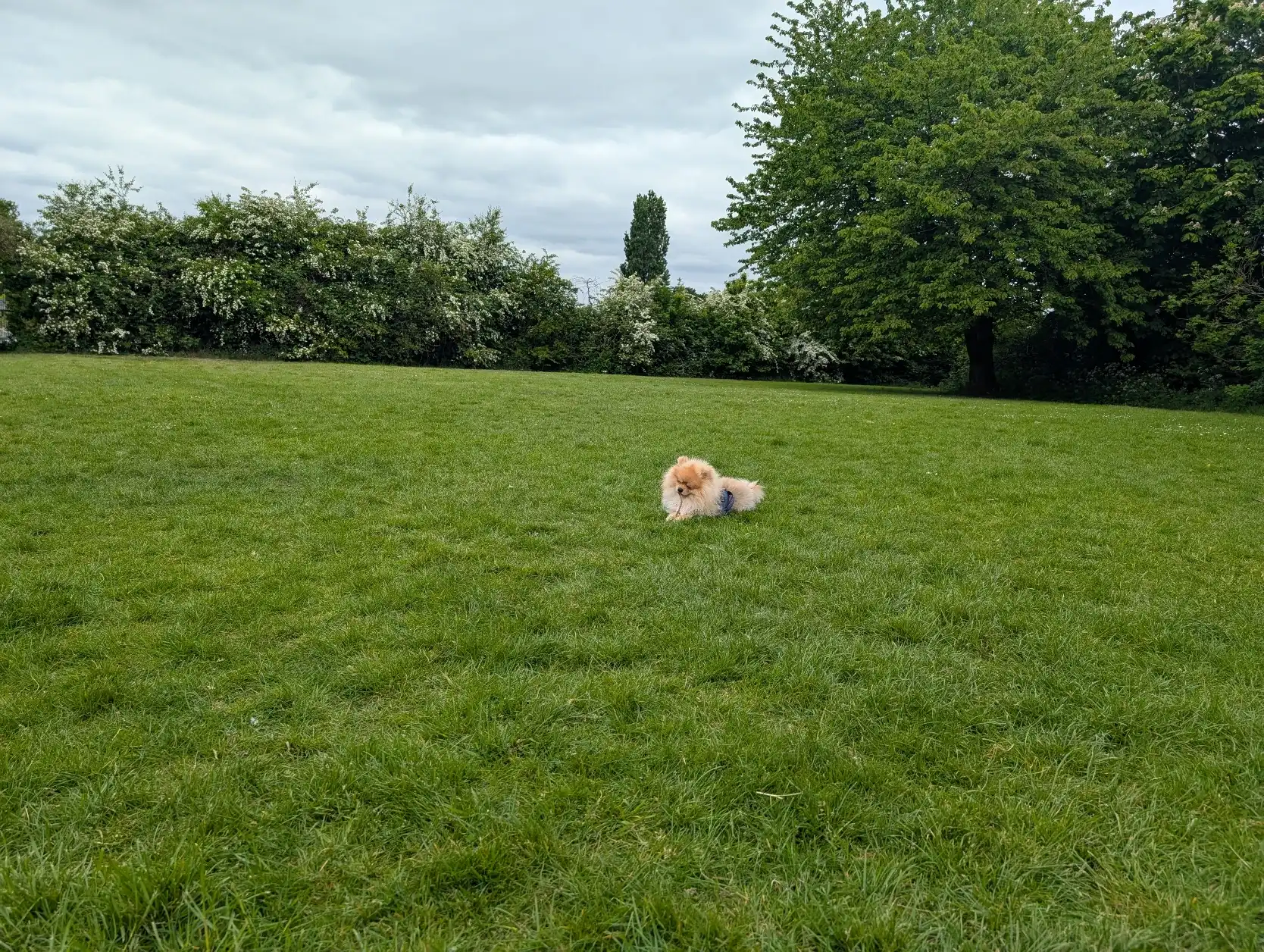 image-13