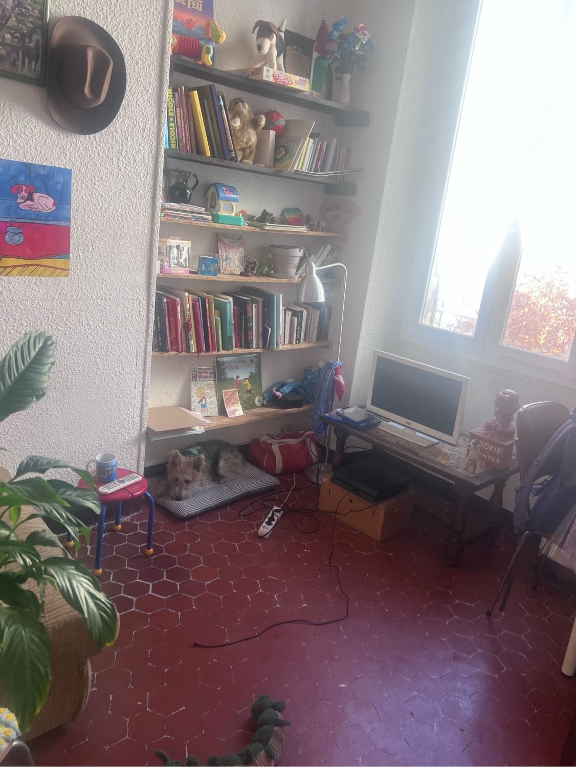 image-7