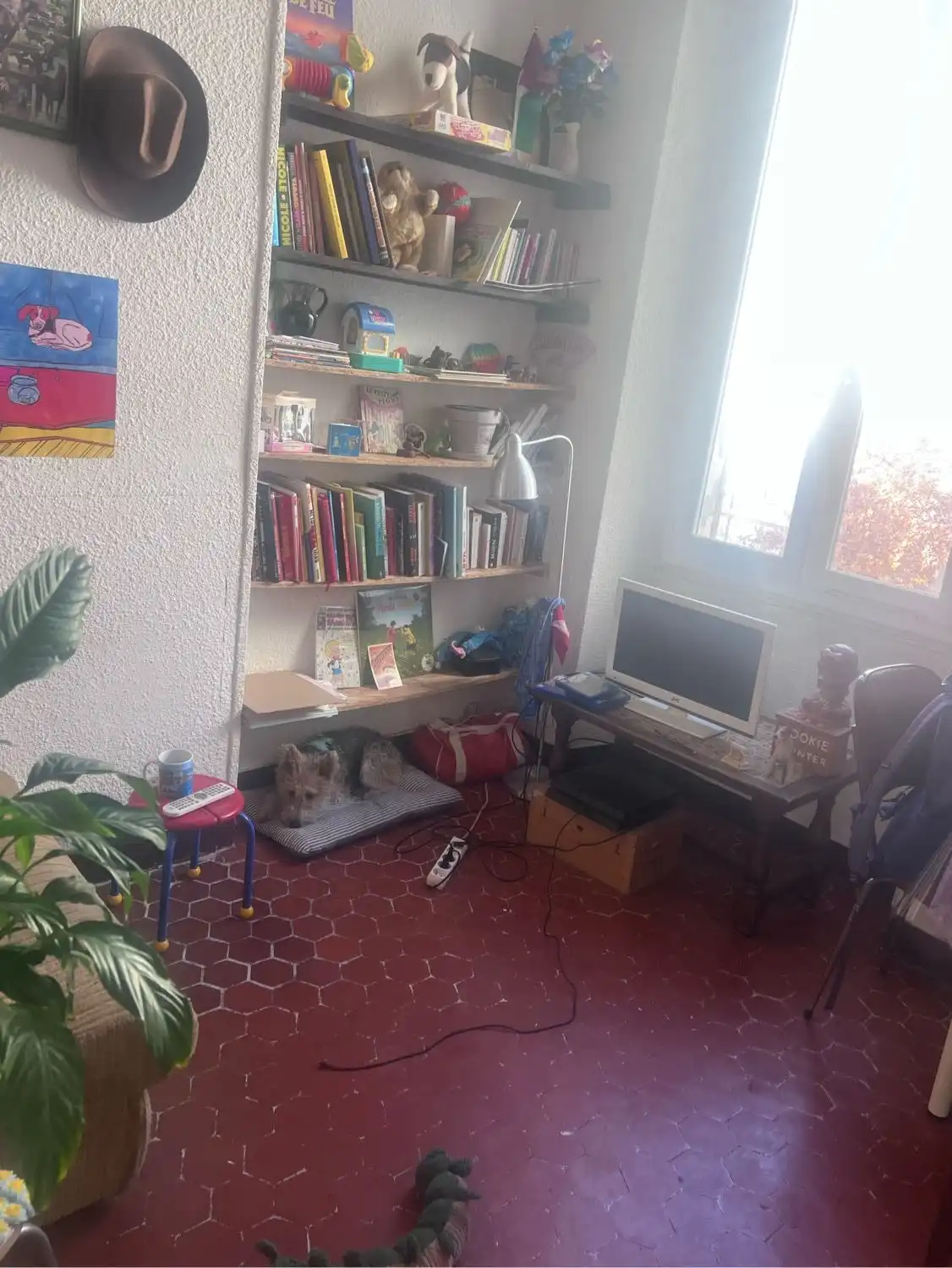 image-7