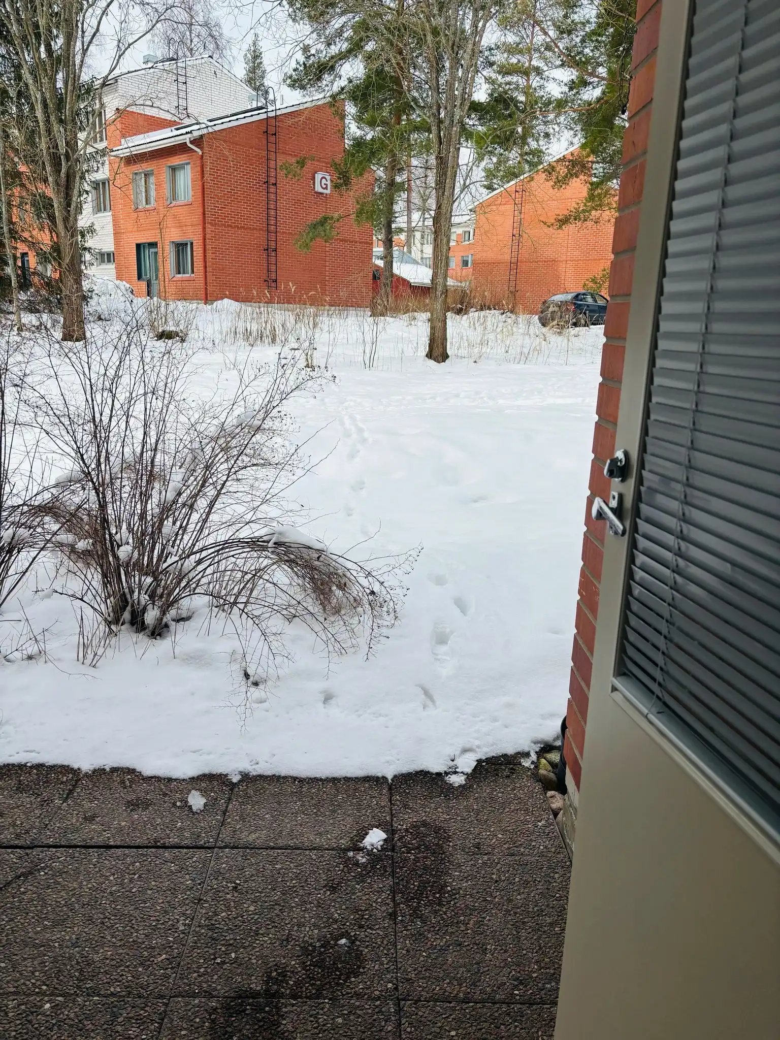 image-27