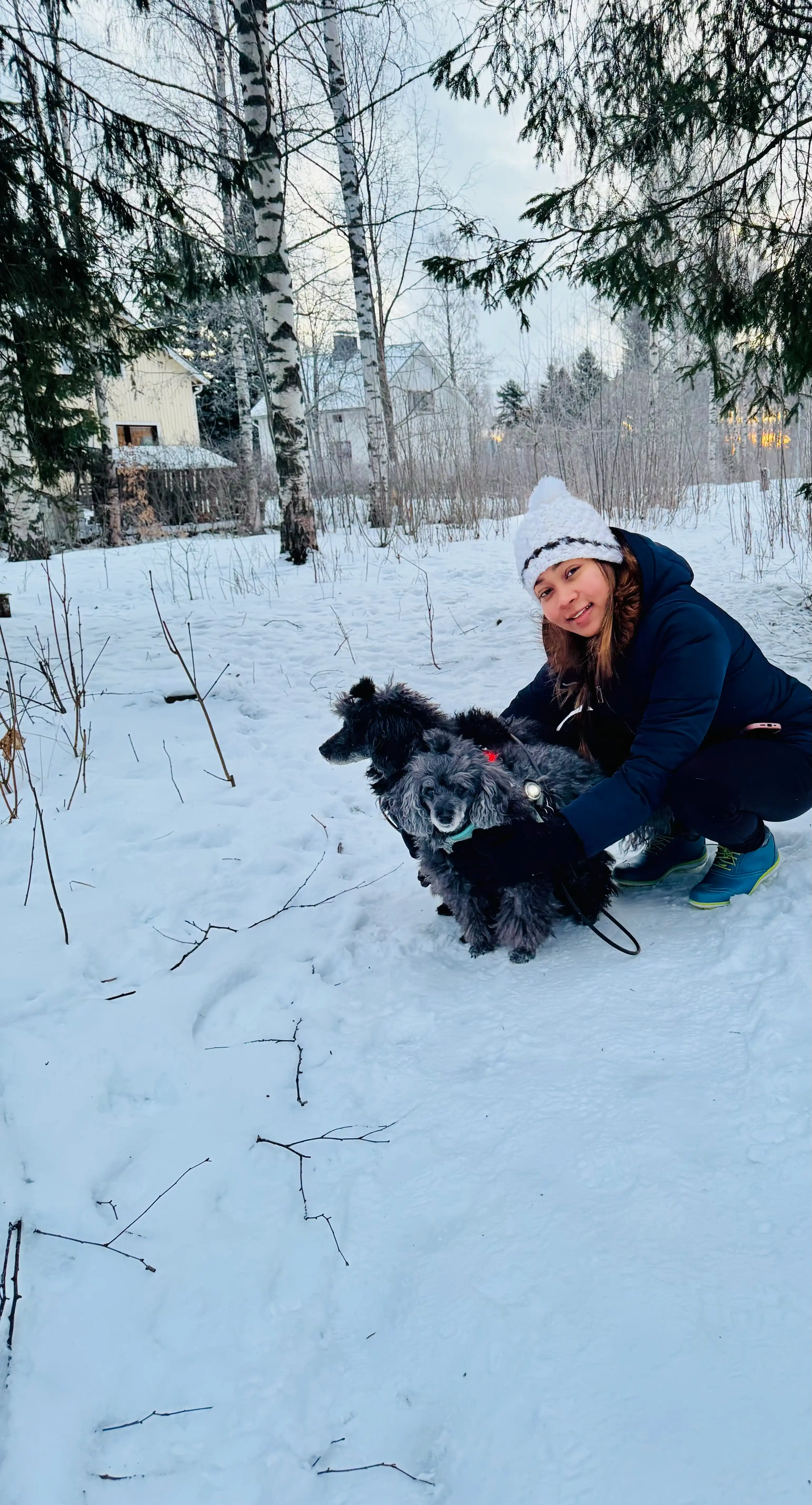 image-6
