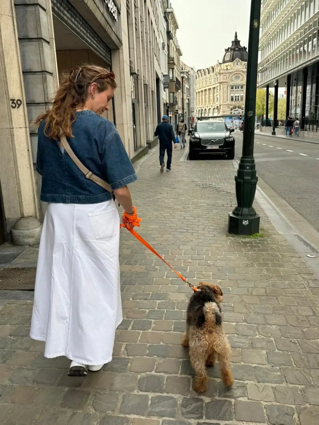 image-7