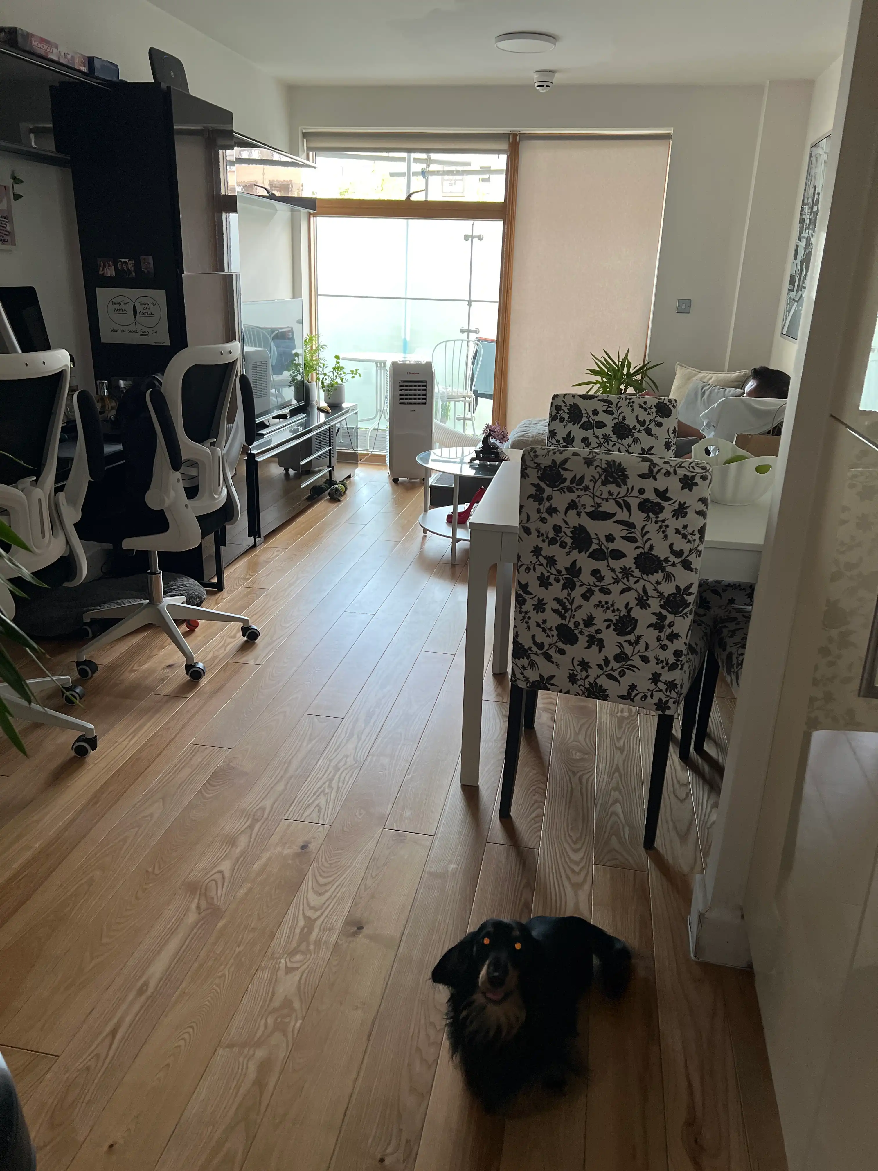 image-8