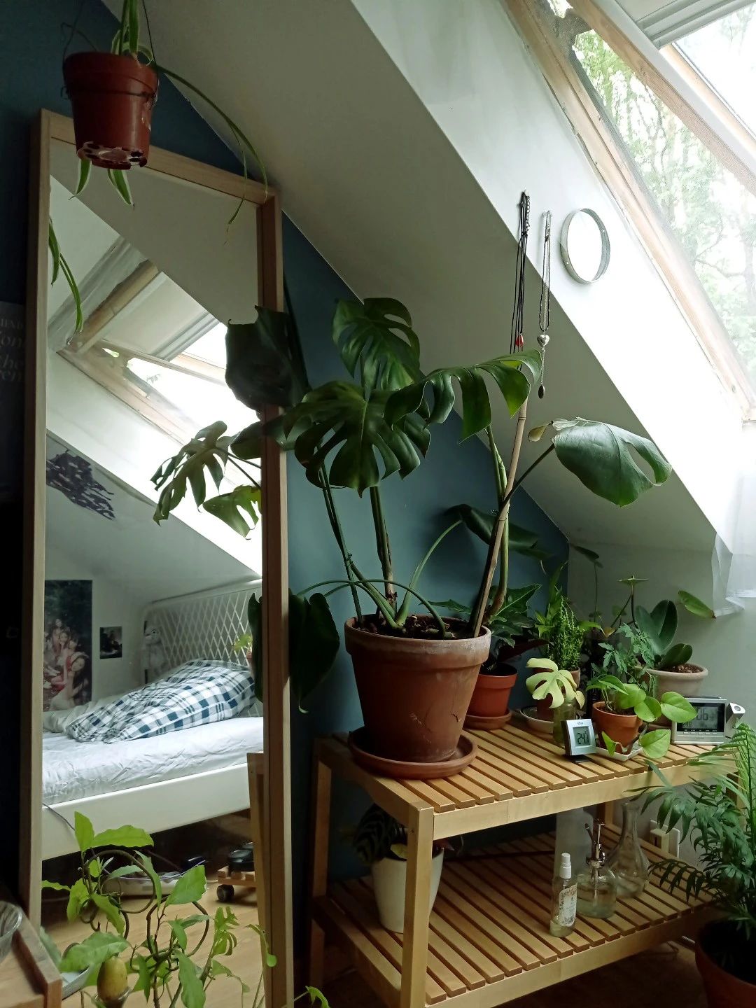 image-8