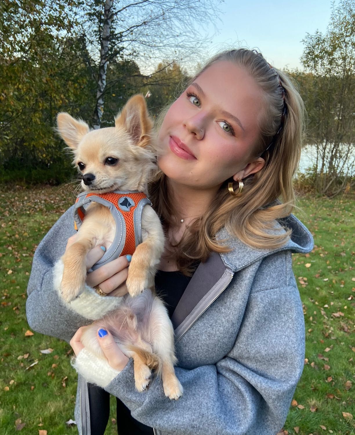 image-6