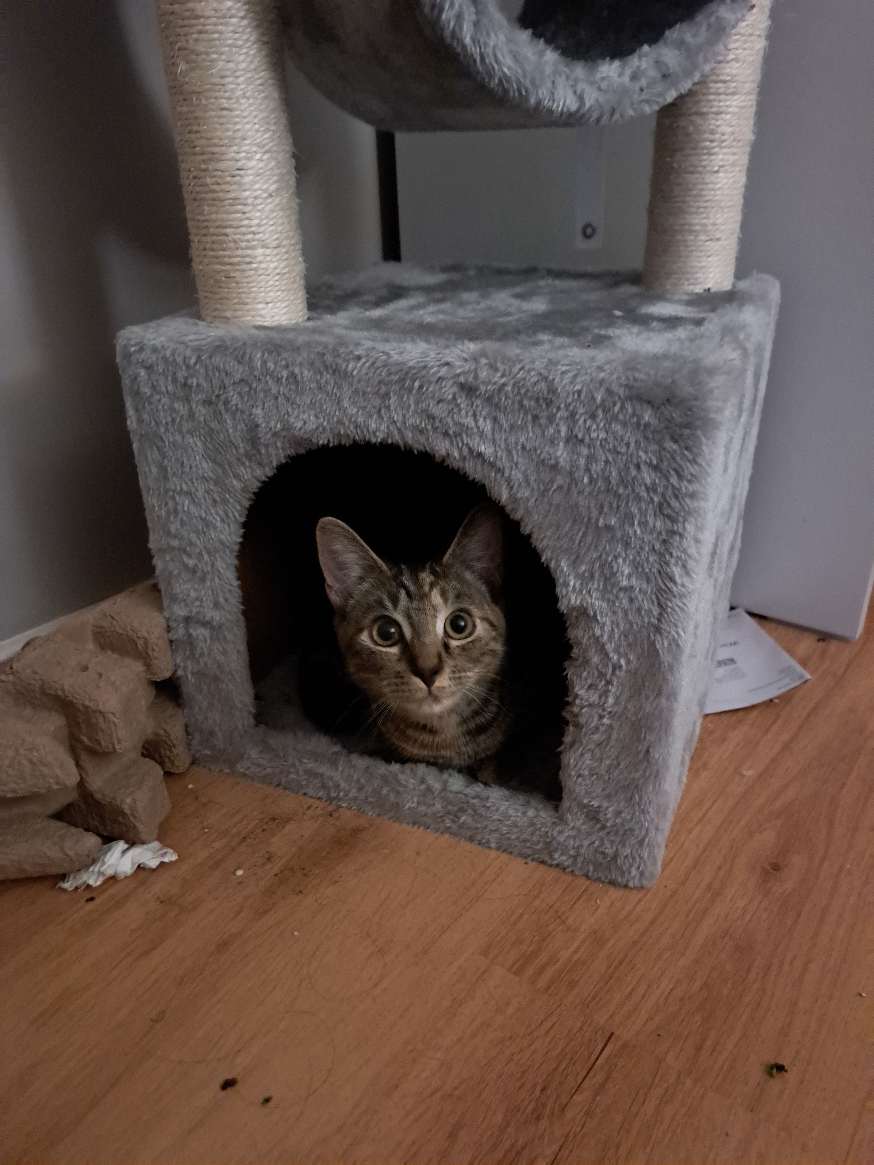 image-5