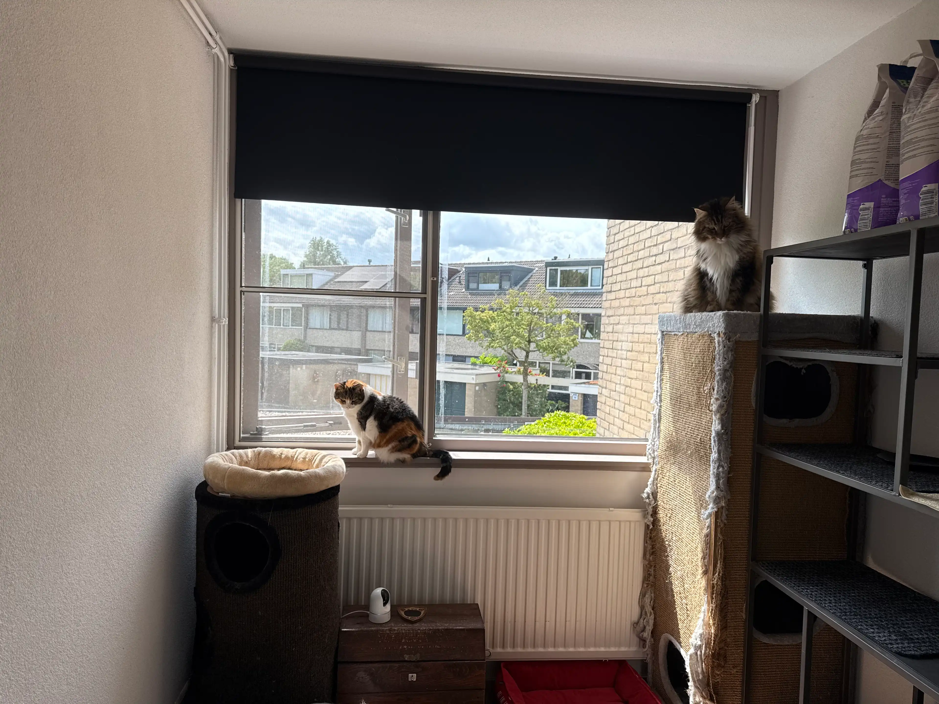 image-16