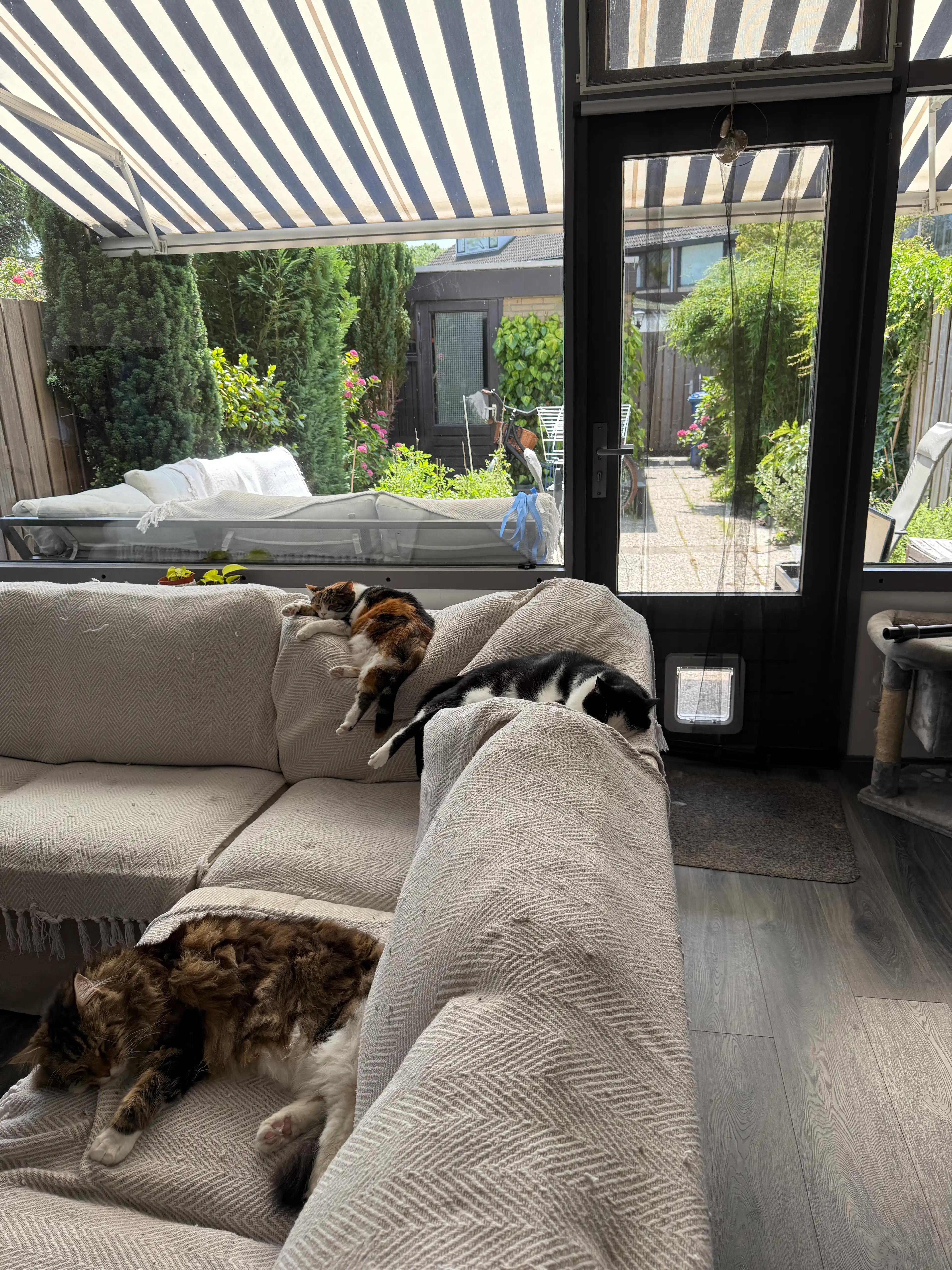 image-13