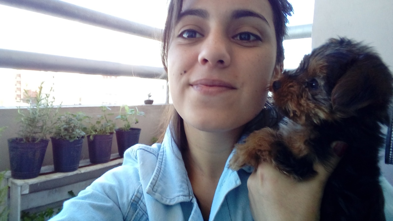 image-6
