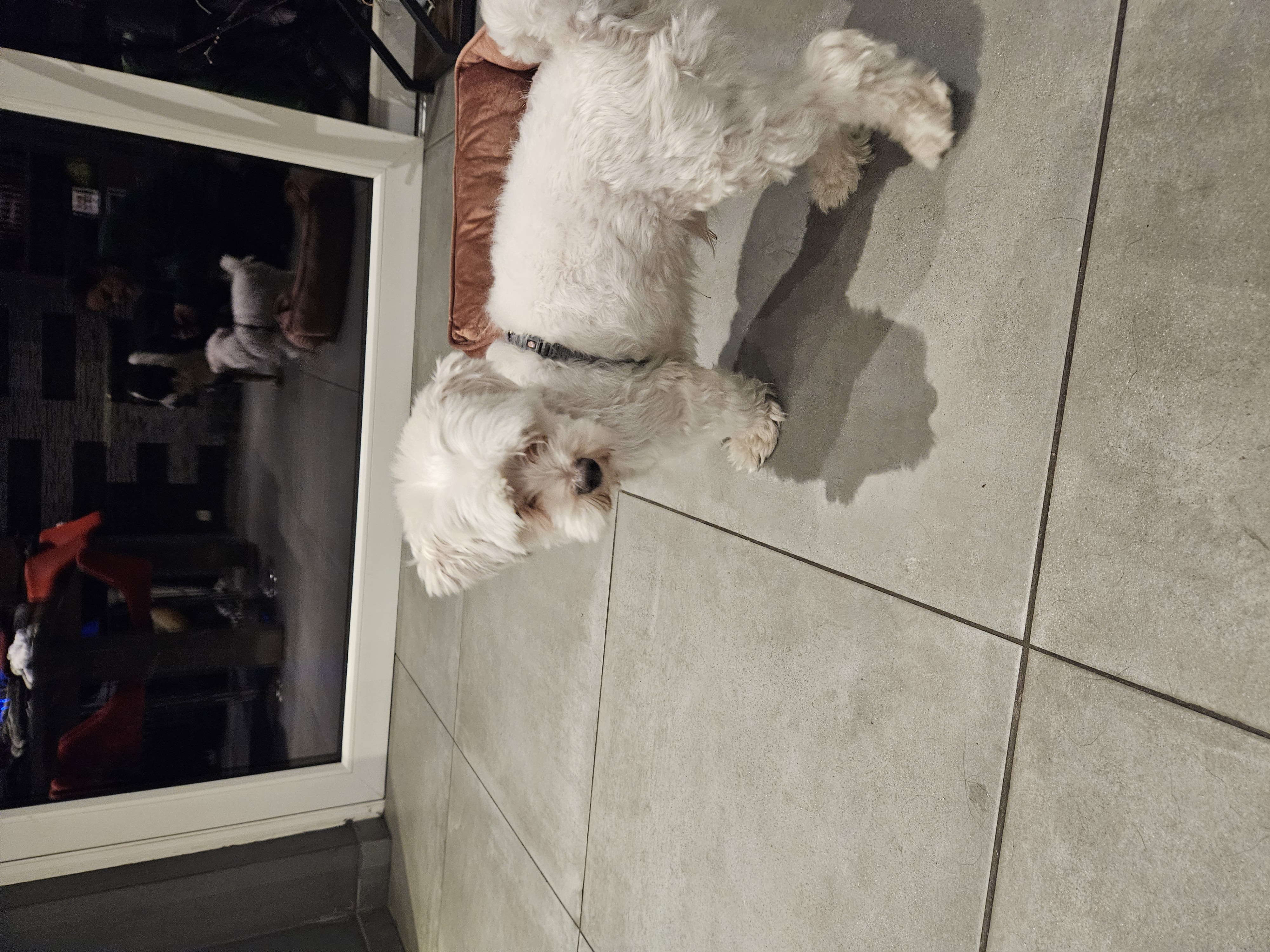 image-15