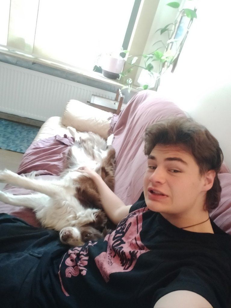 image-7