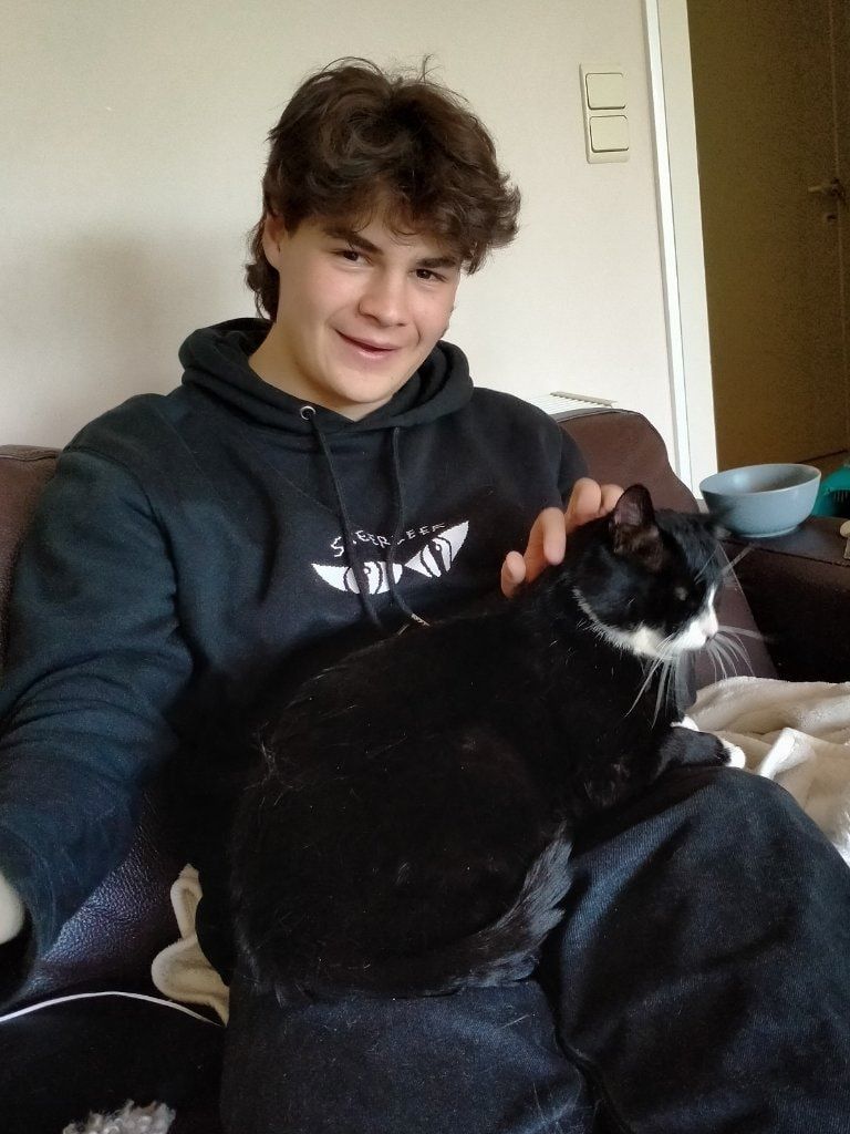 image-12