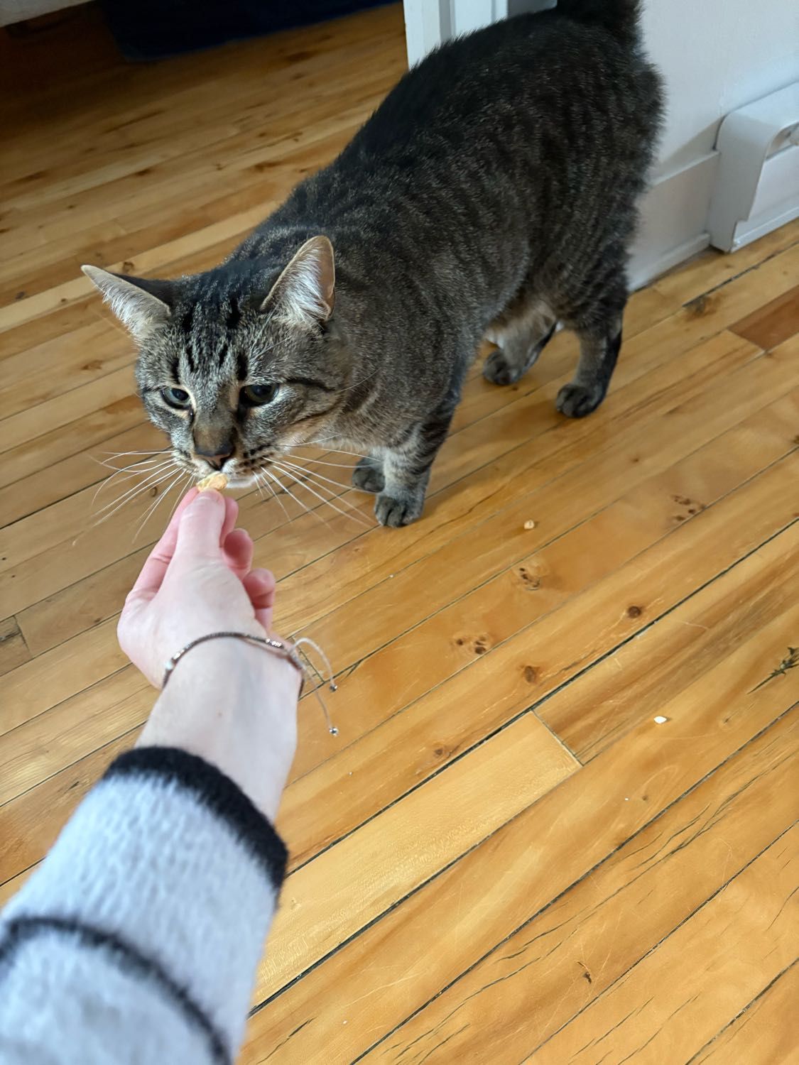 image-10