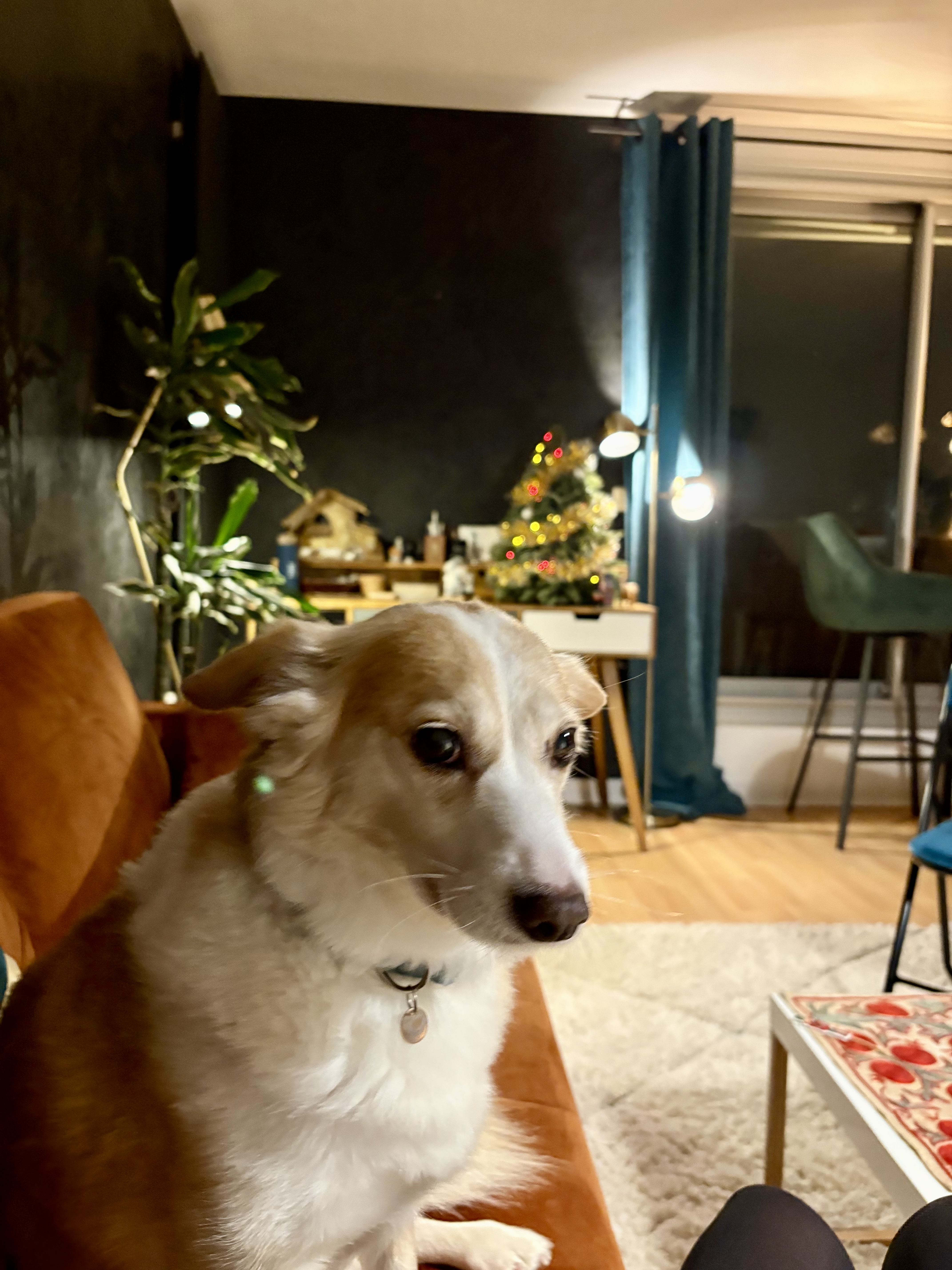 image-9