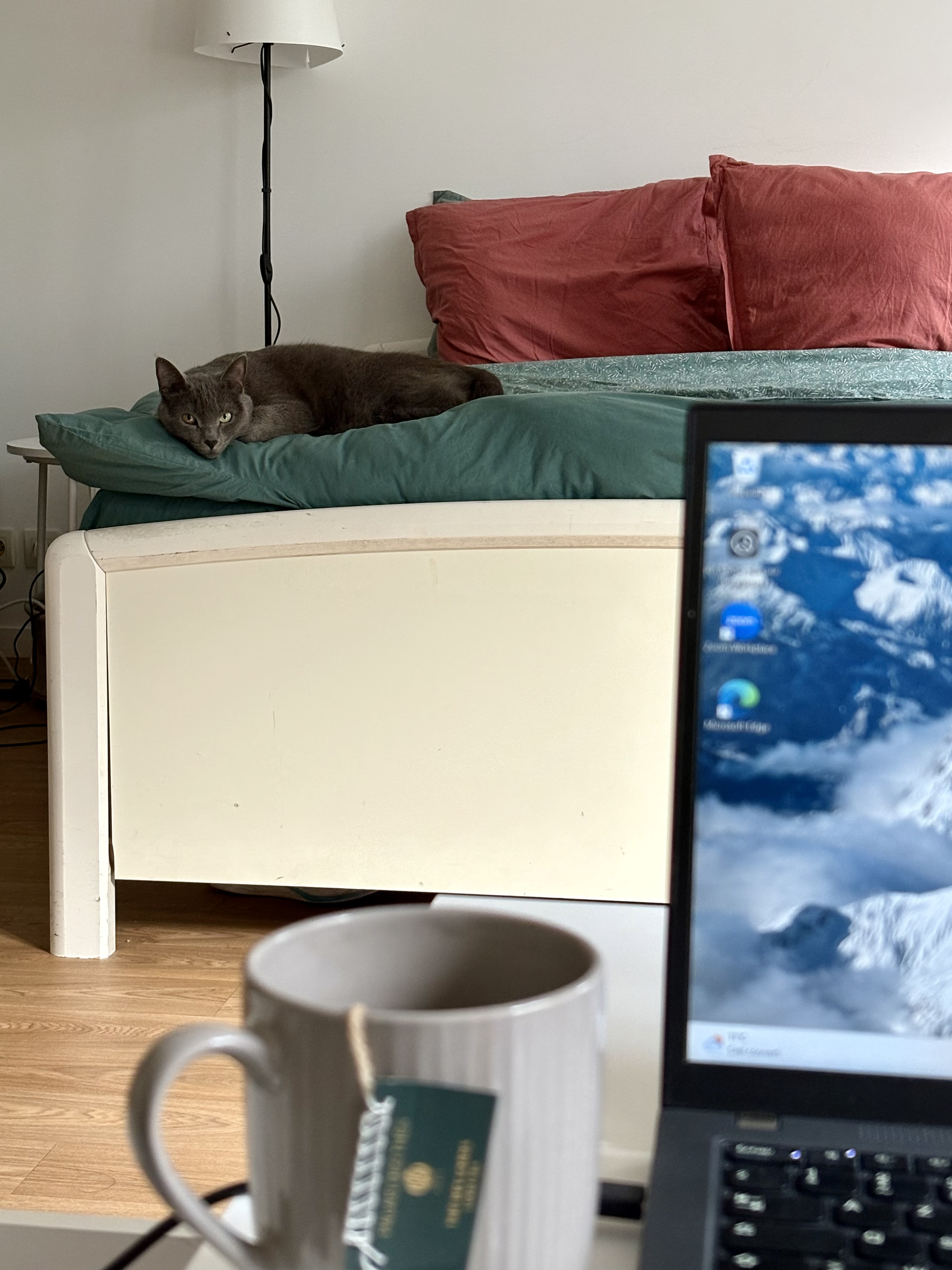 image-8
