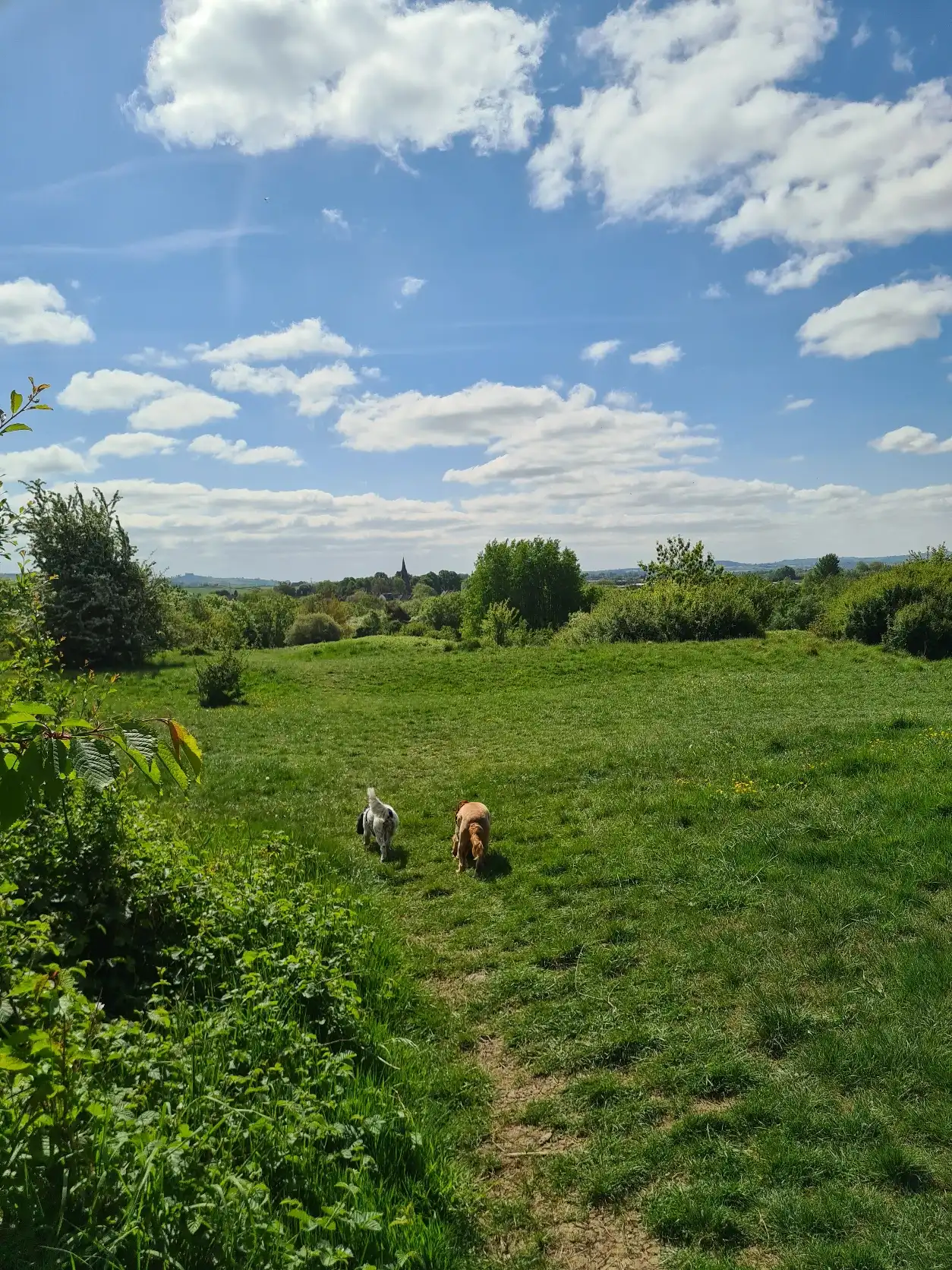 image-17
