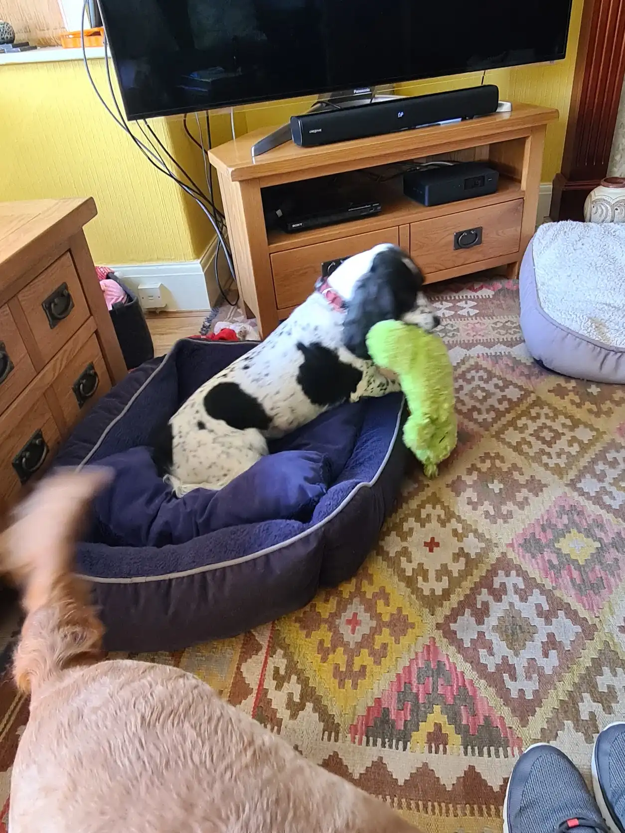 image-15