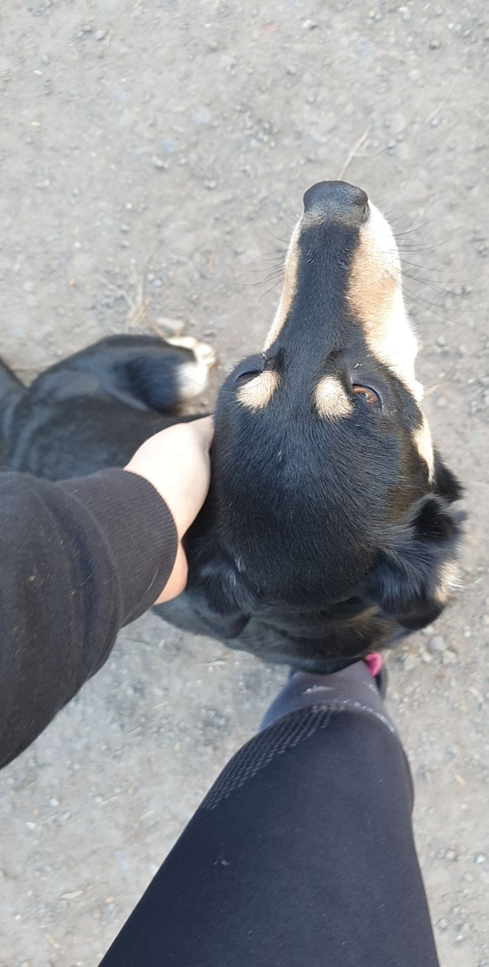 image-8