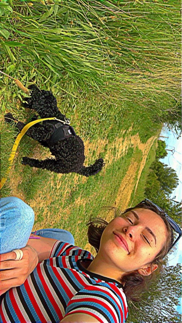 image-4