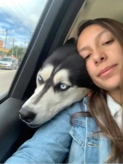 image-6