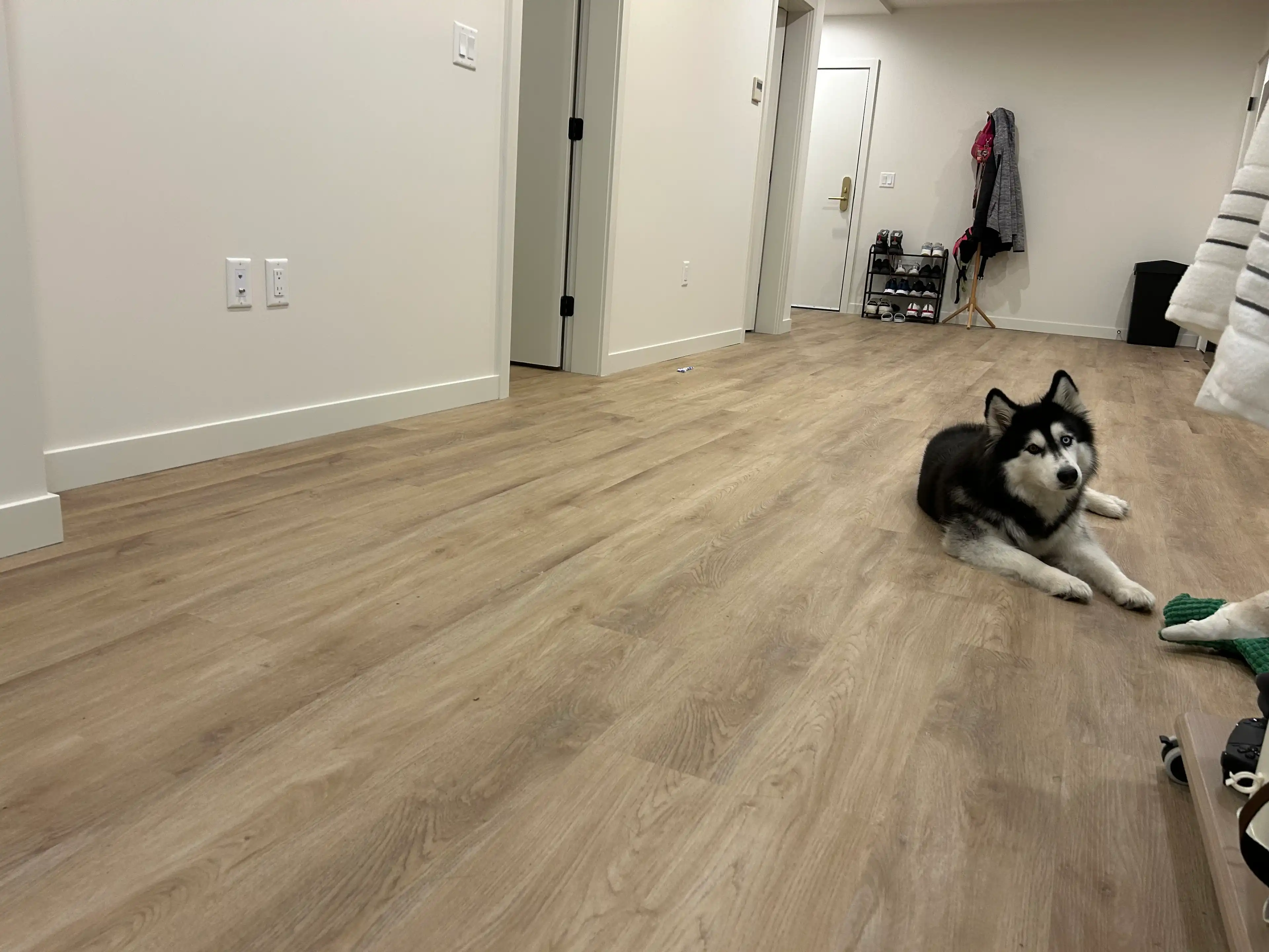 image-11