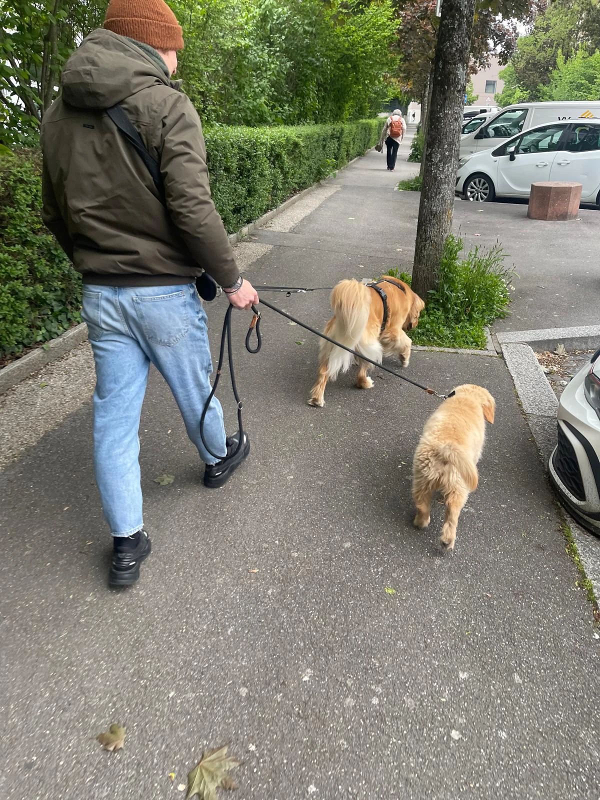 image-17