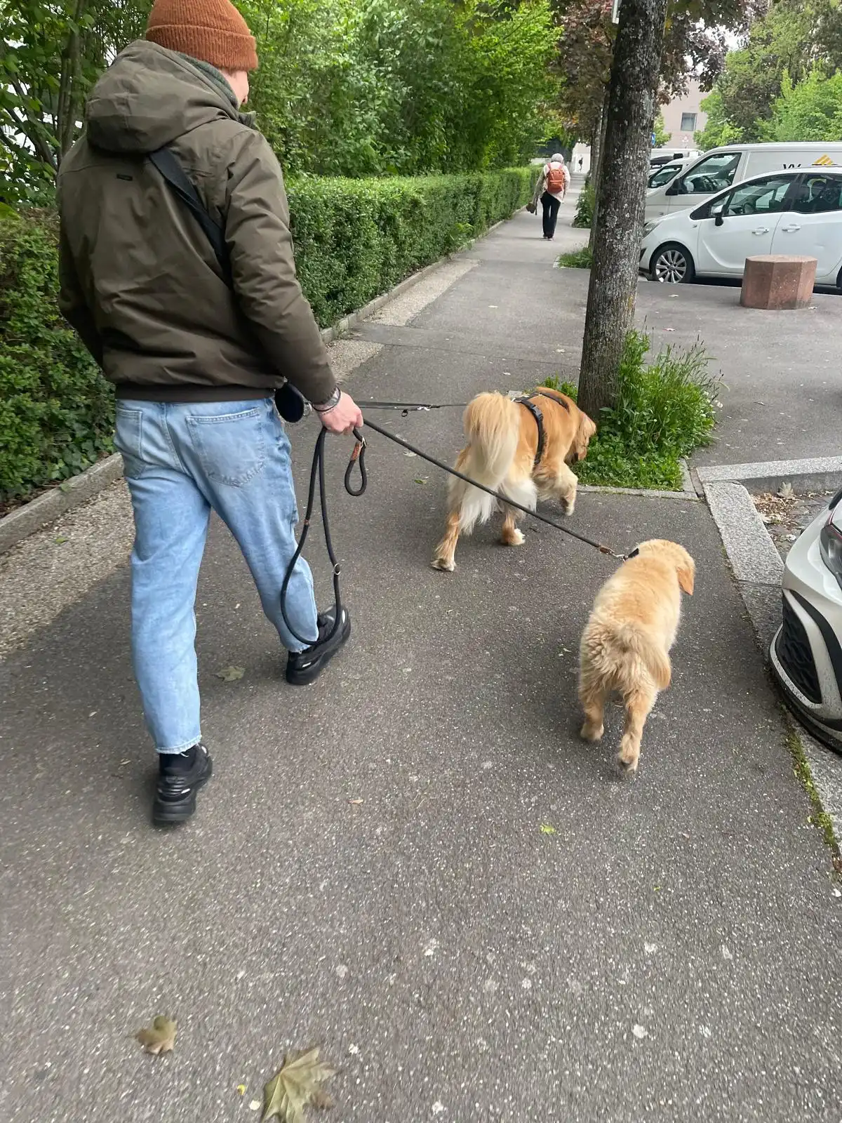 image-17