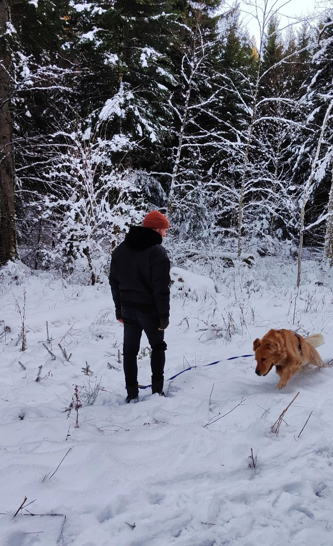 image-9