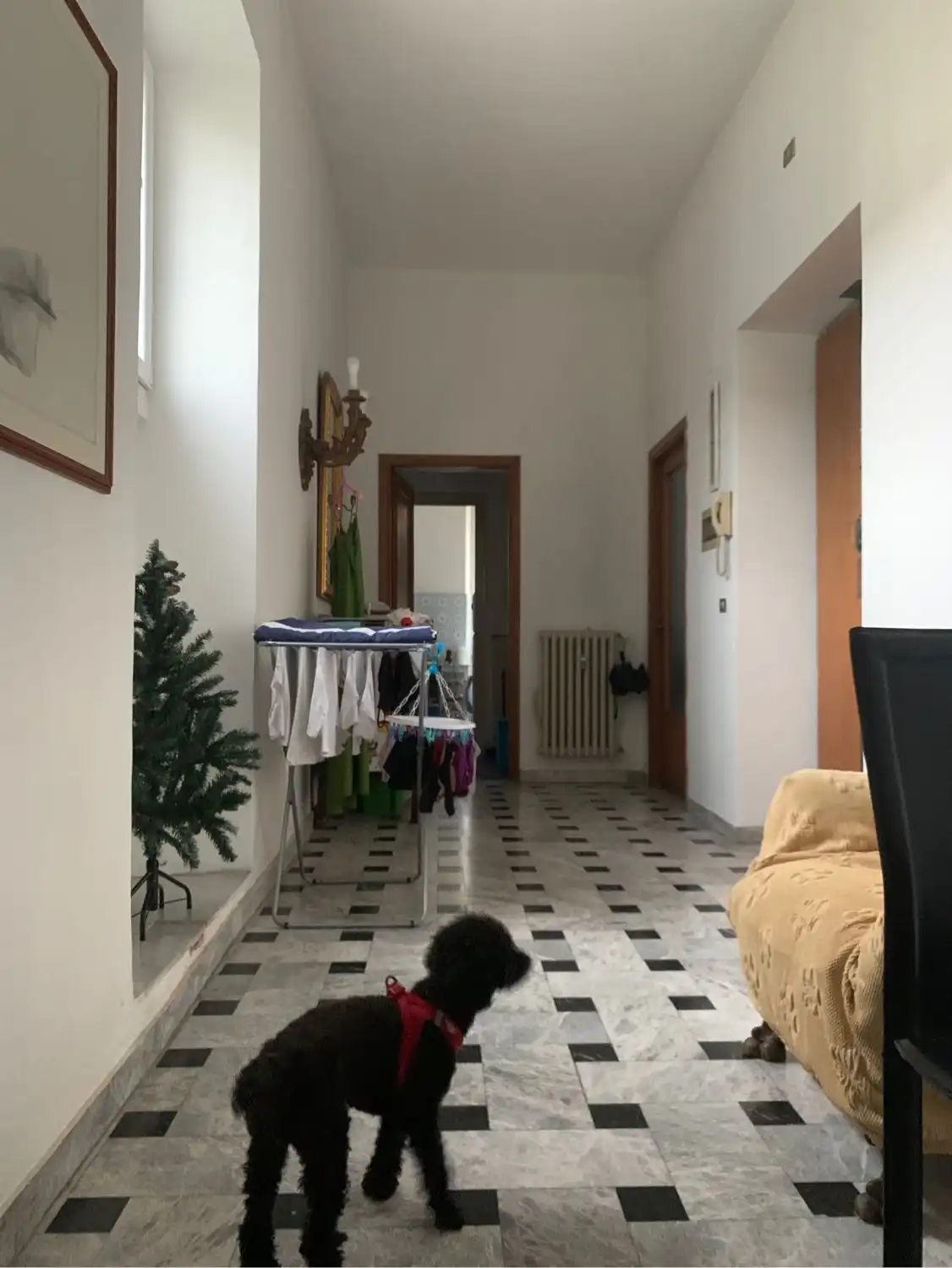 image-11