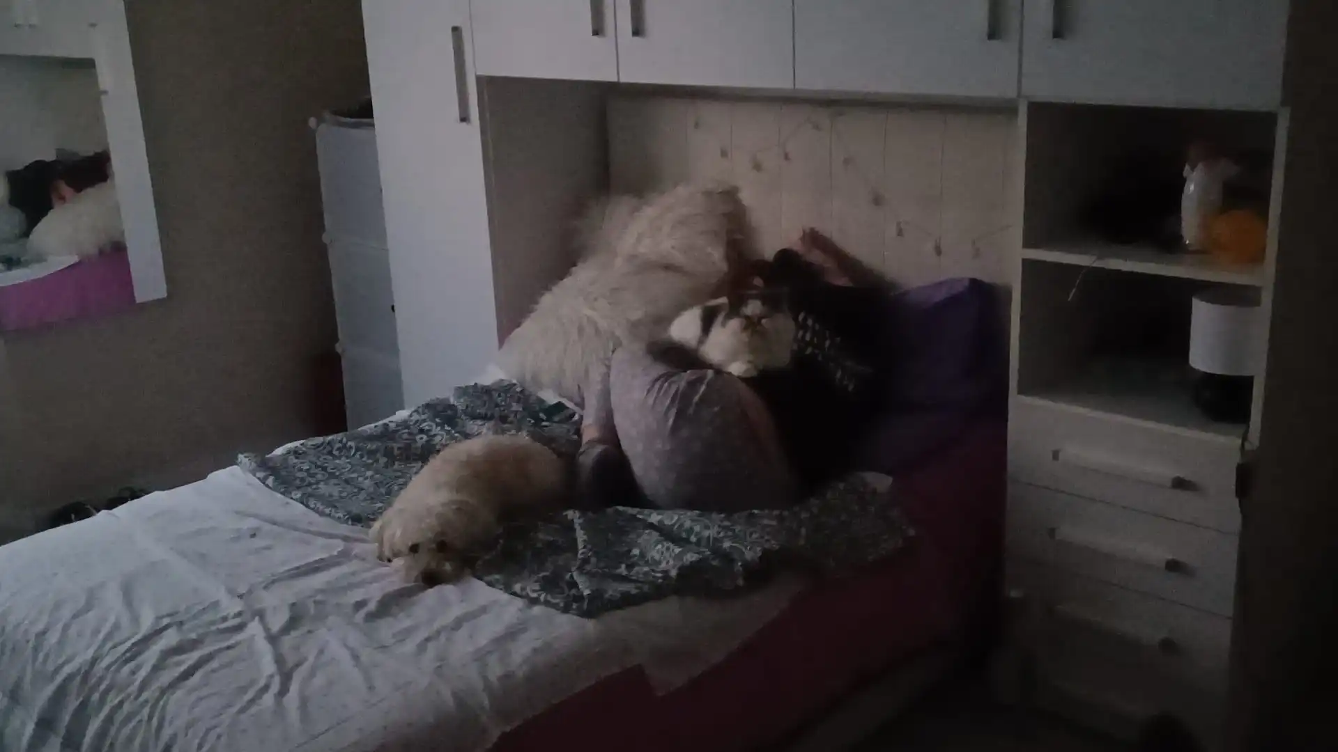 image-6