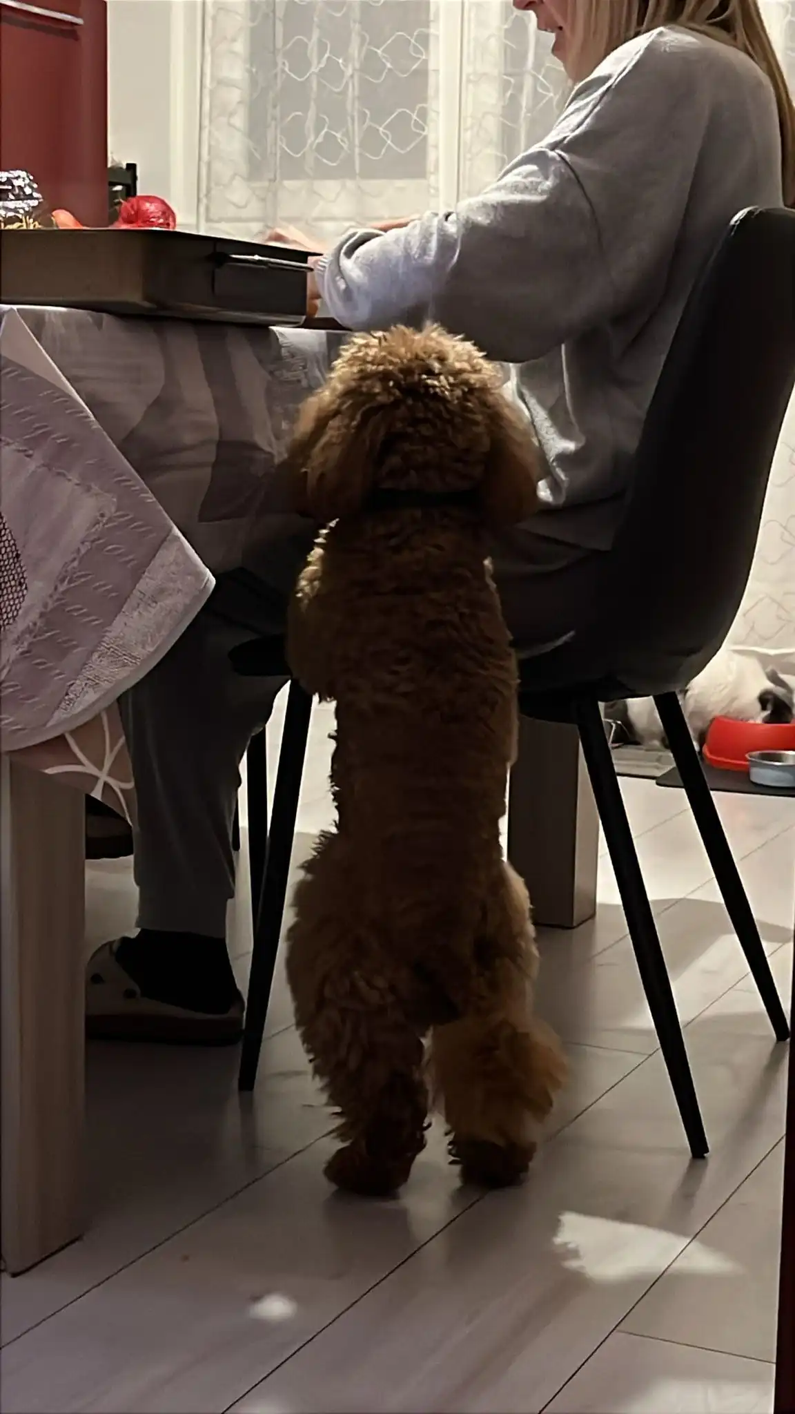 image-7