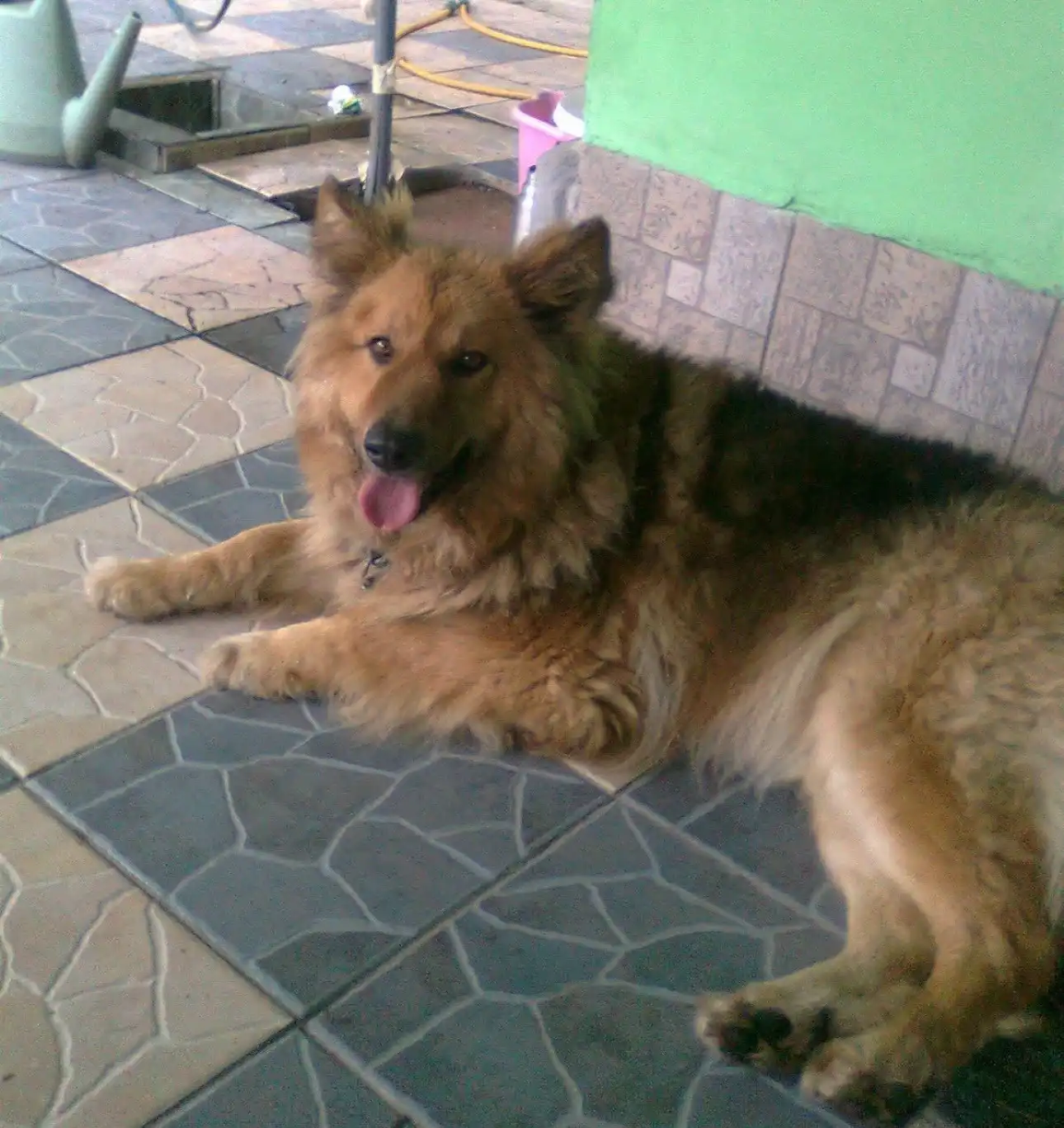 image-10